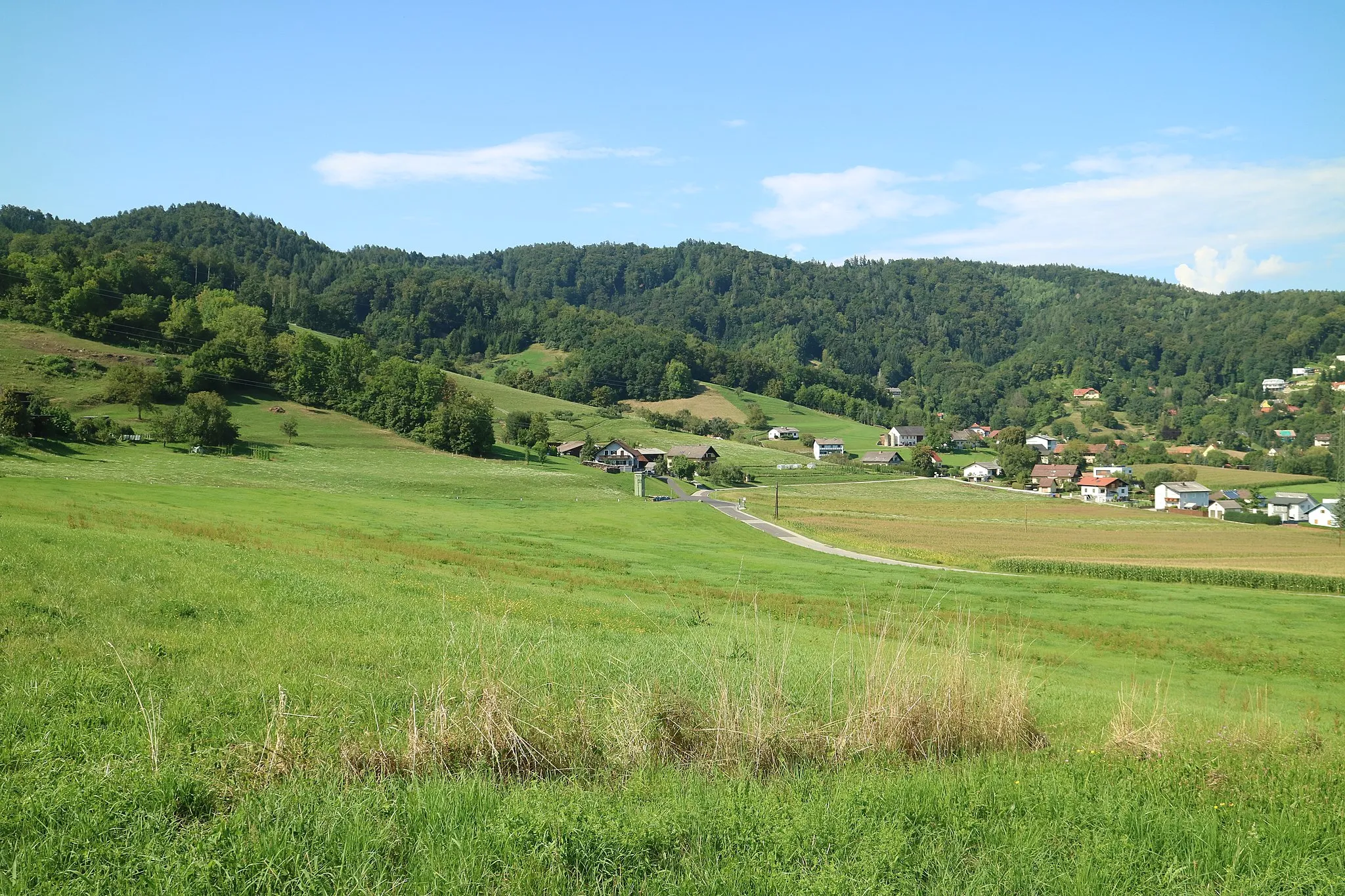 Photo showing: Reinerspitze (Bildmitte) und Steinkogel von Südwesten, Gemeinde Thal bei Graz (Steiermark)