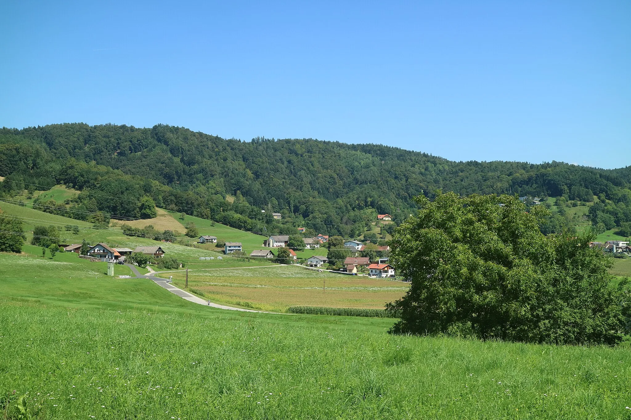 Photo showing: Reinerspitze und Steinkogel (Bildmitte) von Südwesten, Gemeinde Thal bei Graz (Steiermark)