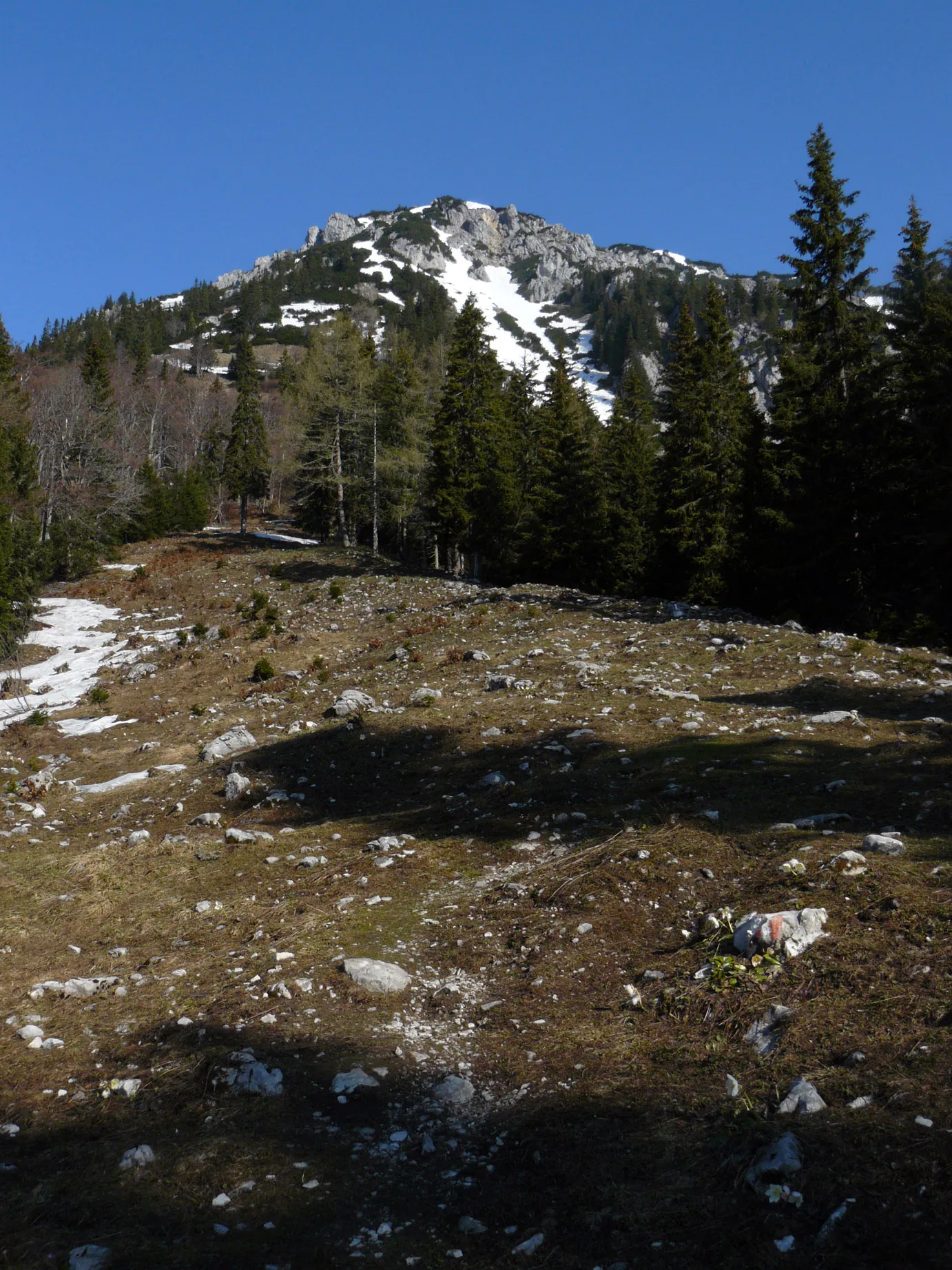 Photo showing: The trail to the mountain, from Seewiesen / Seeberg up to Staritzen Ostgipfel & Mieserkogel