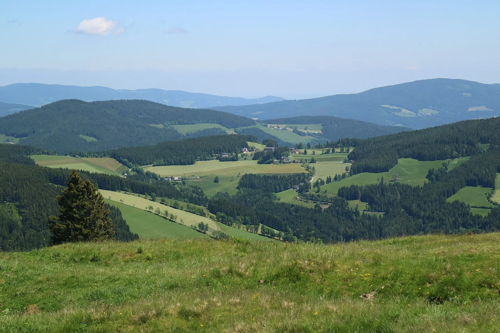 Photo showing: Blick von der Sommeralm zur Brandlucken, Gemeinde Sankt Kathrein am Offenegg, Steiermark