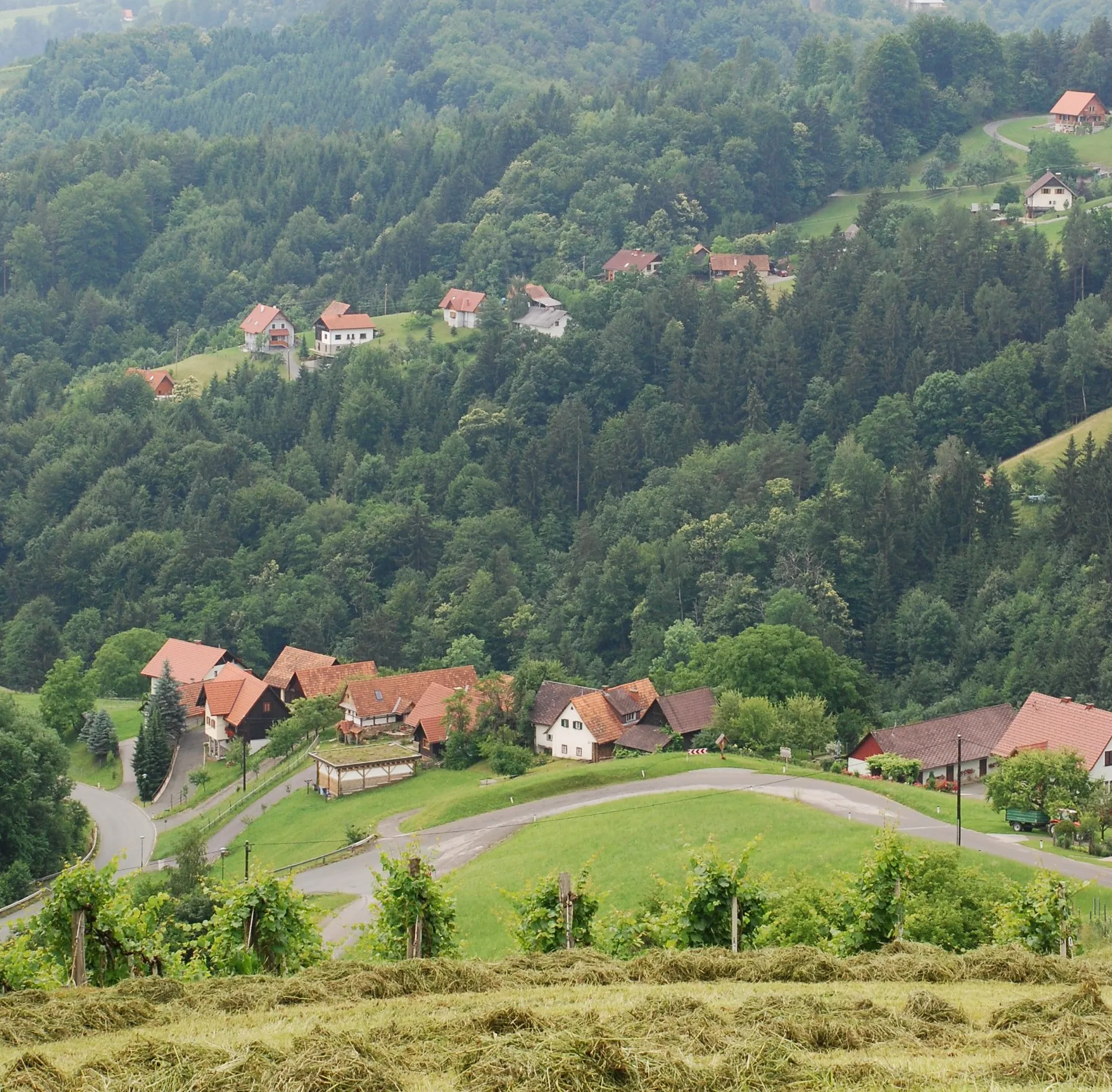 Photo showing: Verlauf der Freiländer Straße: die Hundsreih auf dem Steilabbruch vor Deutschlandsberg