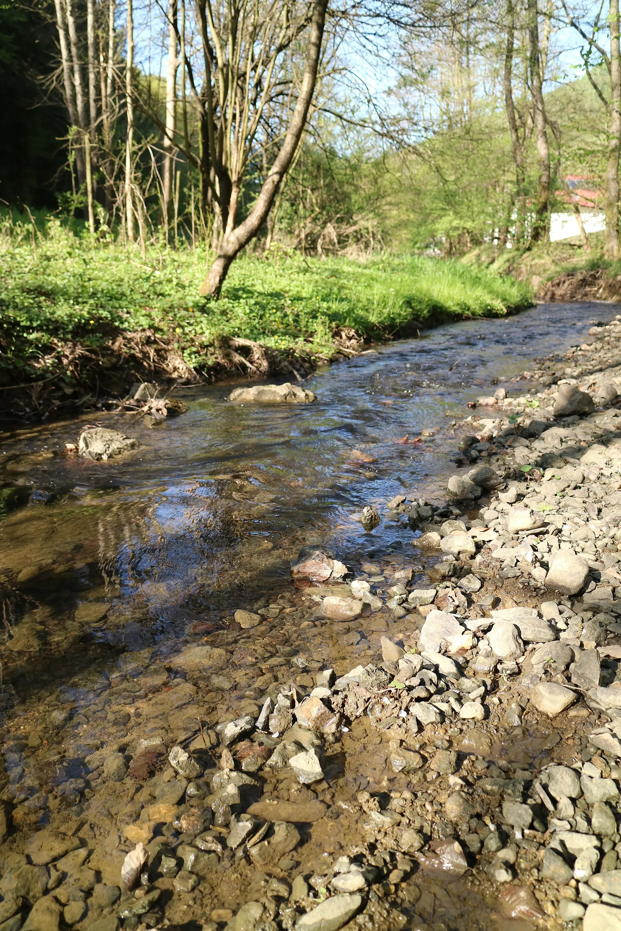 Photo showing: Thaler Bach im Göstinger (Thaler) Graben, Graz-Gösting