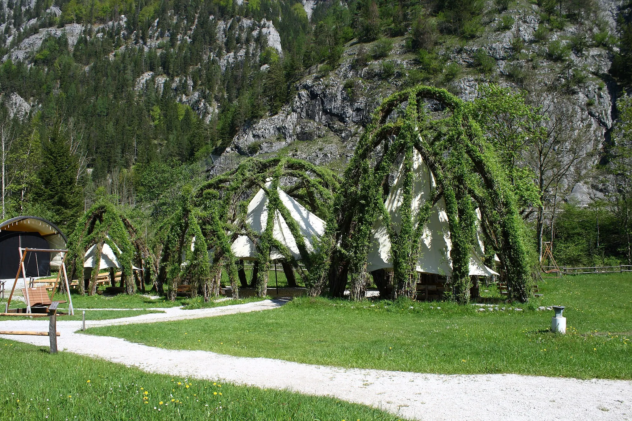 Photo showing: Weidendom, Nationalpark Gesäuse, Steiermark
