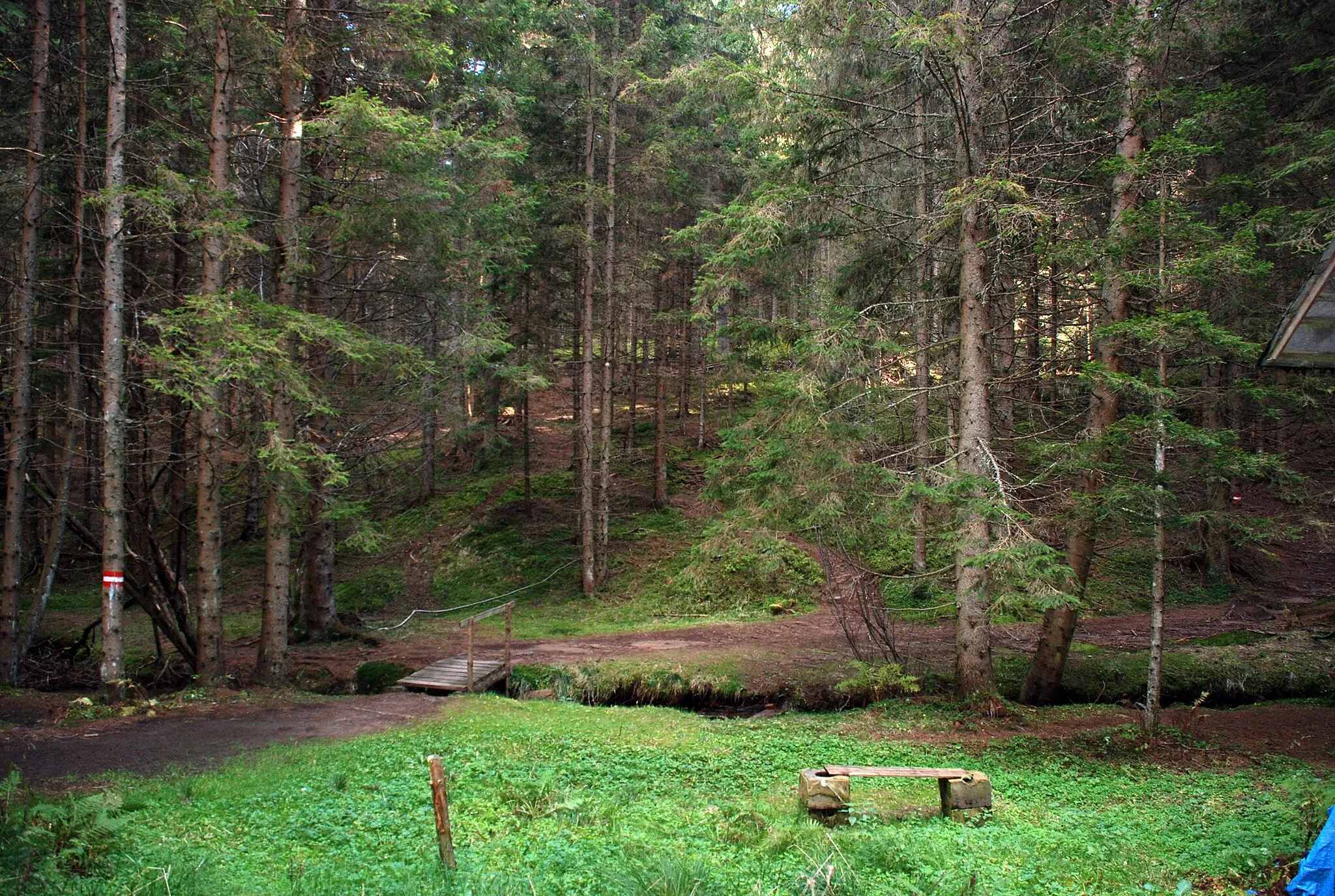 Photo showing: Falleggbach bei der Dornermühle in Greisdorf, Steiermark, Österreich