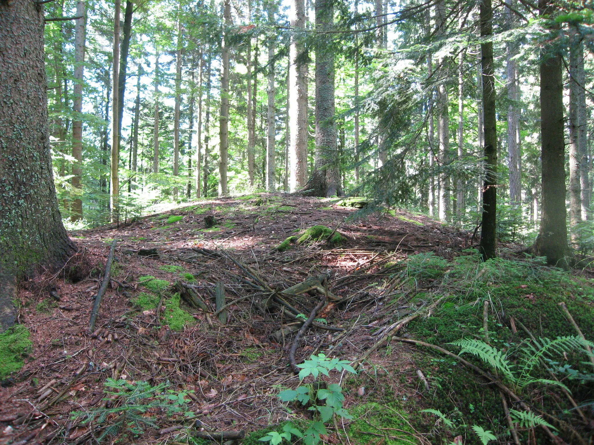 Photo showing: Hier handelt es sich um einen Tumulus in der Reinischkogelregion. Er befindet sich in der Nähe beim roten Kreuz in Sommereben an der Wegkreuzung Ligist-Stainz. Es ist das die nordwestliche Grenze von Greisdorf und es ist das der wohl derzeit höchstgelegene Tumulus in der Steiermark. Am Fuße bei diesem Tumulus wurde ein rom. Schlüssel gefunden und ist im Burgmuseum Deutschlandsberg zu besichtigen.