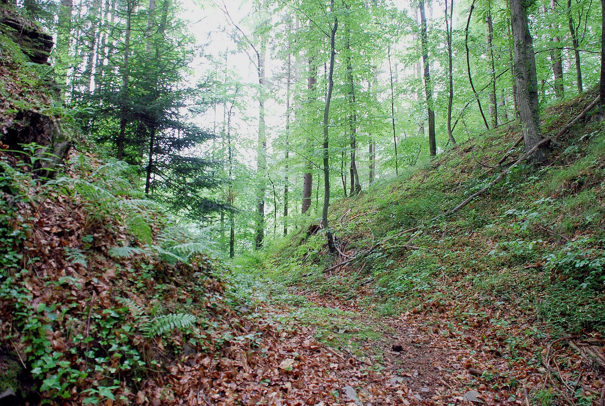 Photo showing: Burgruine Wessenstein bei Marhof, Weststeiermark, Styria, Austria:  Burggraben