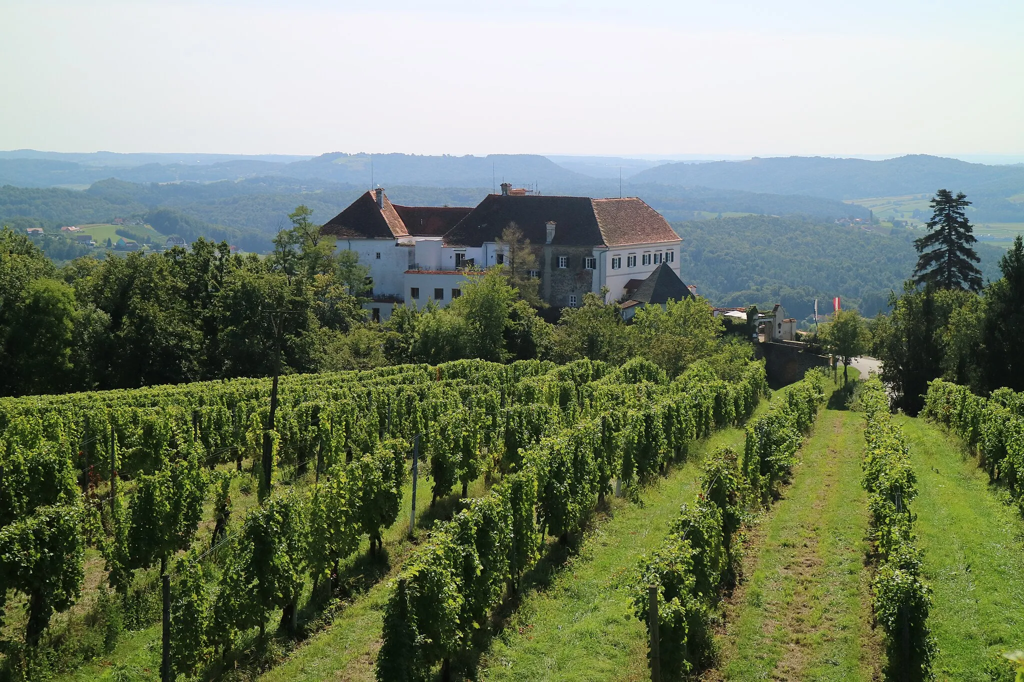 Photo showing: Schloss Kapfenstein mit Weingarten (Steiermark), im Hintergrund Stadelberg (Sotinski breg), Ledava-Durchbruch und Serdiški breg