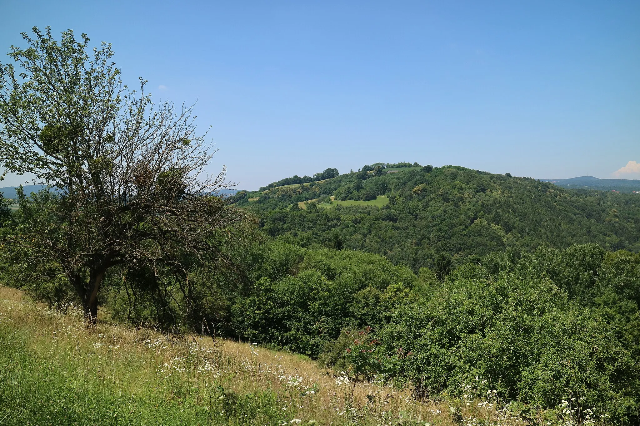 Photo showing: Serdiški breg von Osten, Gemeinde Rogašovci, Slowenien