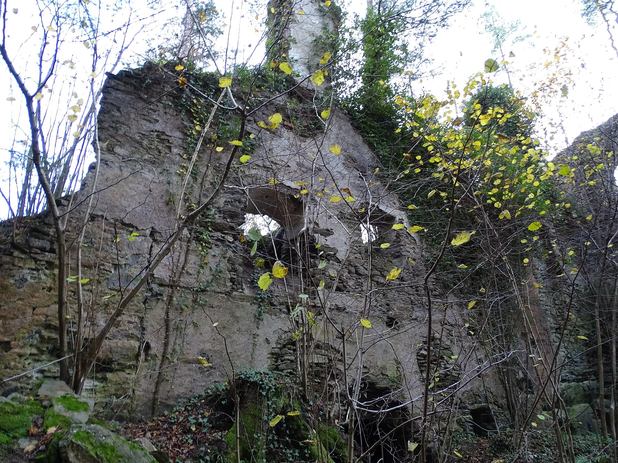 Photo showing: Eine Mauer das neuen Palas in der Burg Neu-Leonroth