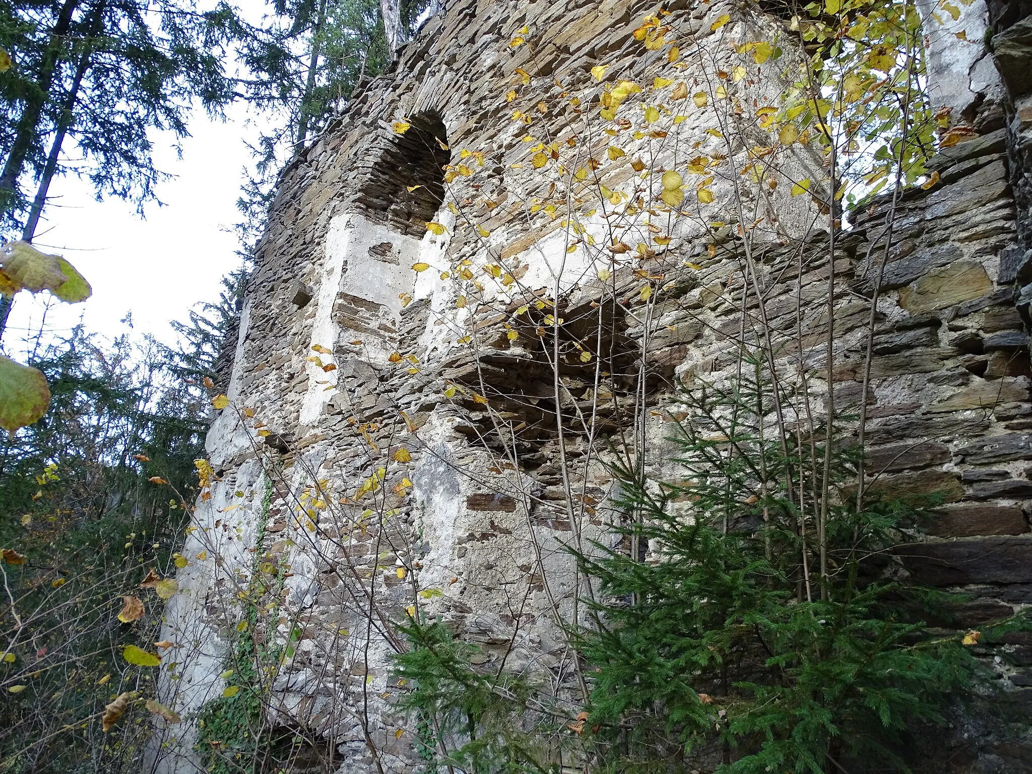 Photo showing: Eine Mauer das alten Palas in der Burg Neu-Leonroth