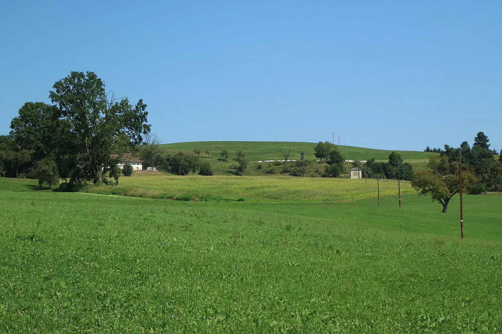 Photo showing: Fuchsriegel von Süden, Graz-Ragnitz