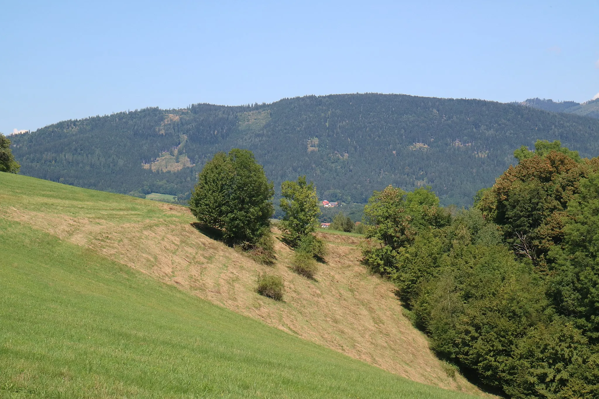 Photo showing: Hohenberg von Südosten (Linecksattel), Graz-Mariatrost