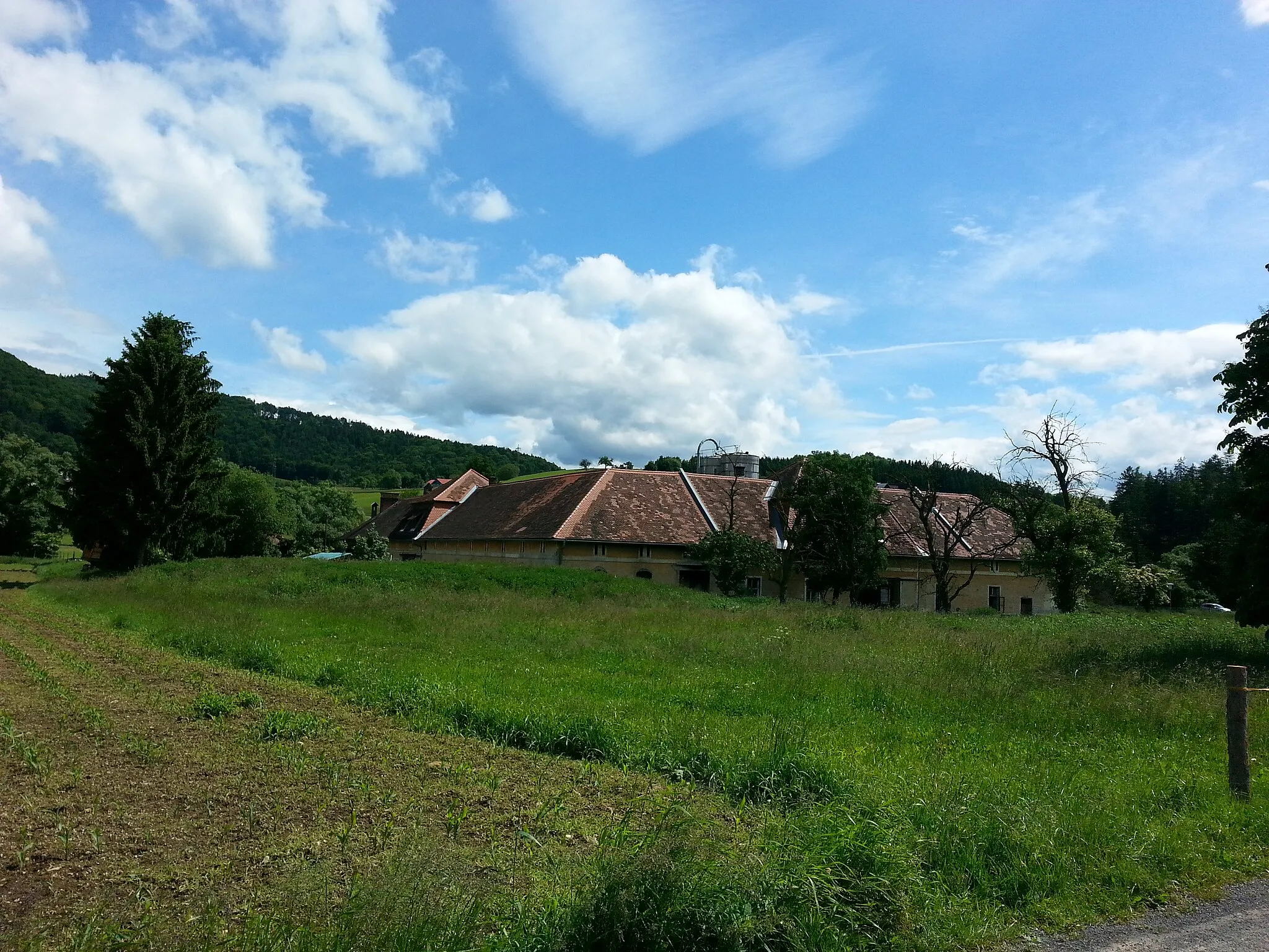 Photo showing: Landesgut Hörgas (Vierflügelanlage und anschließende Dreiflügelanlage) in der Gemeinde Eisbach, Steiermark.