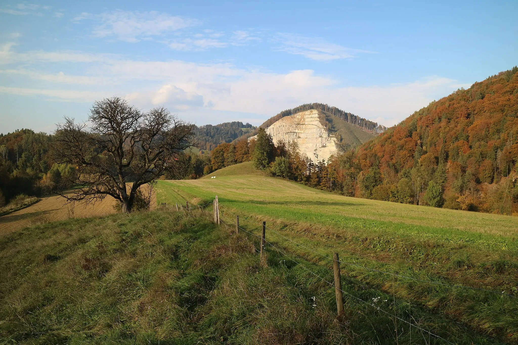Photo showing: Herbstliches Grünland zwischen Friesach und Jasen, Gemeinde Gratkorn (Steiermark), im Hintergrund der Steinbruch Harrer im Rötschgraben