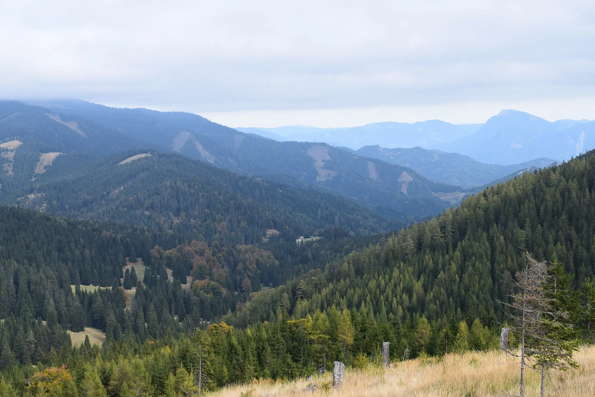 Photo showing: Blick vom Hang südlich oberhalb des Pöllasattels nach Nordosten auf den Almwirtsattel. Gleinalpe, Steiermark.