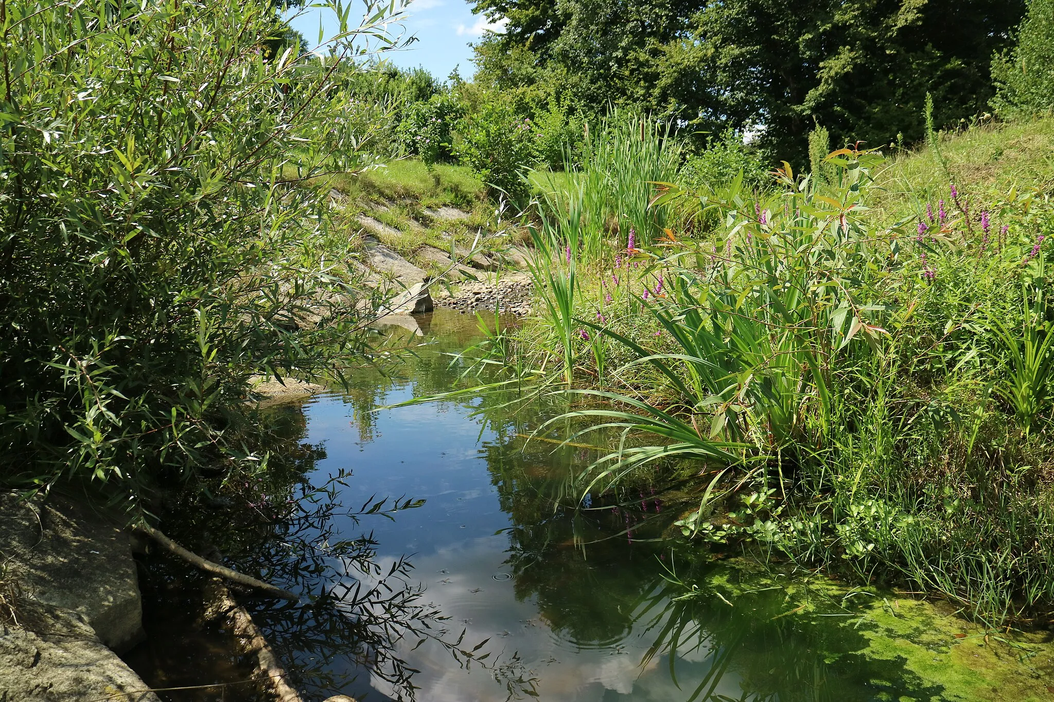 Photo showing: Ščavnica in Zgornja Ščavnica, Slovenia, view upriver