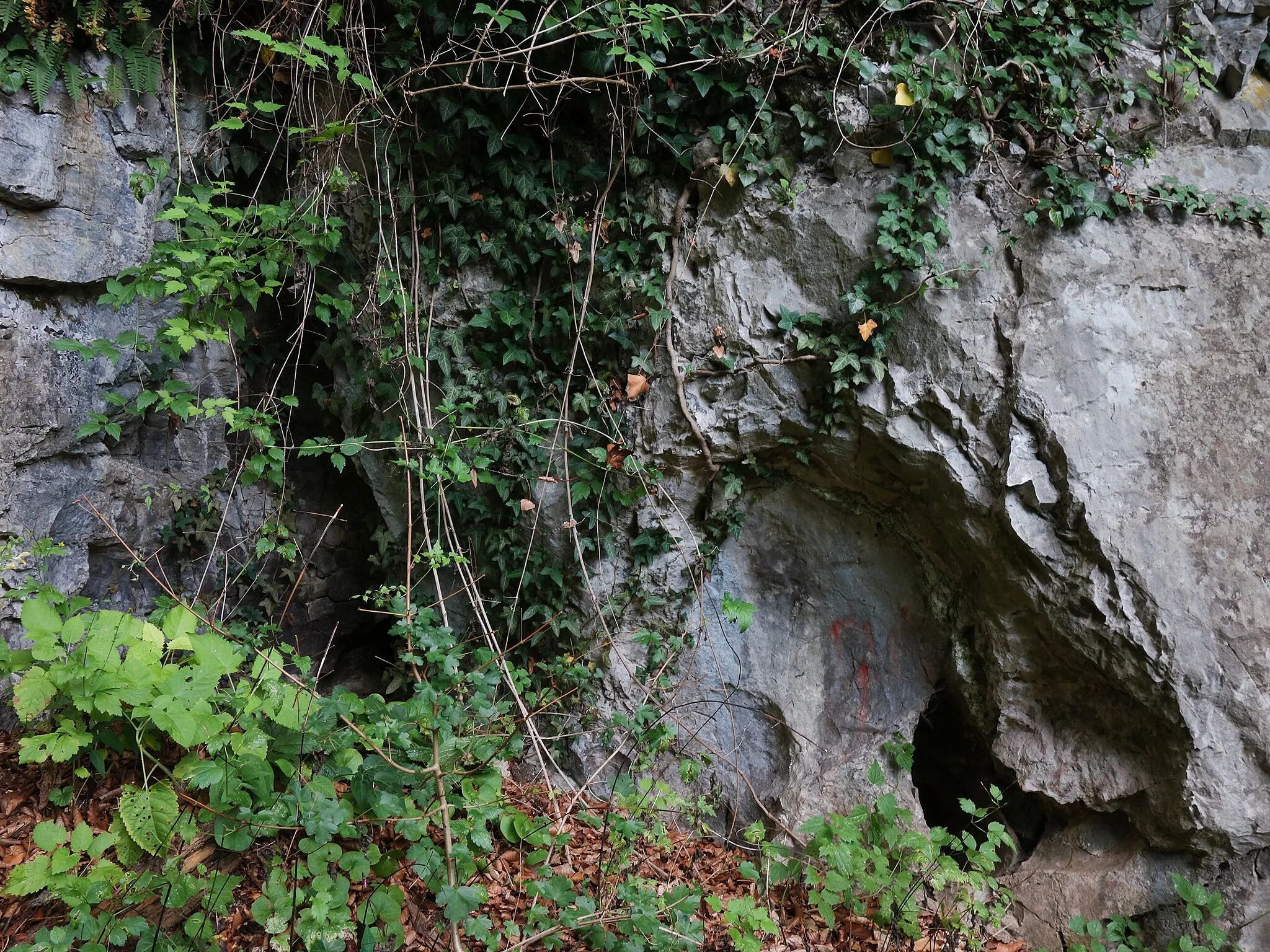 Photo showing: Buchenhöhle am Kugelstein. Katasternummer 2784/26