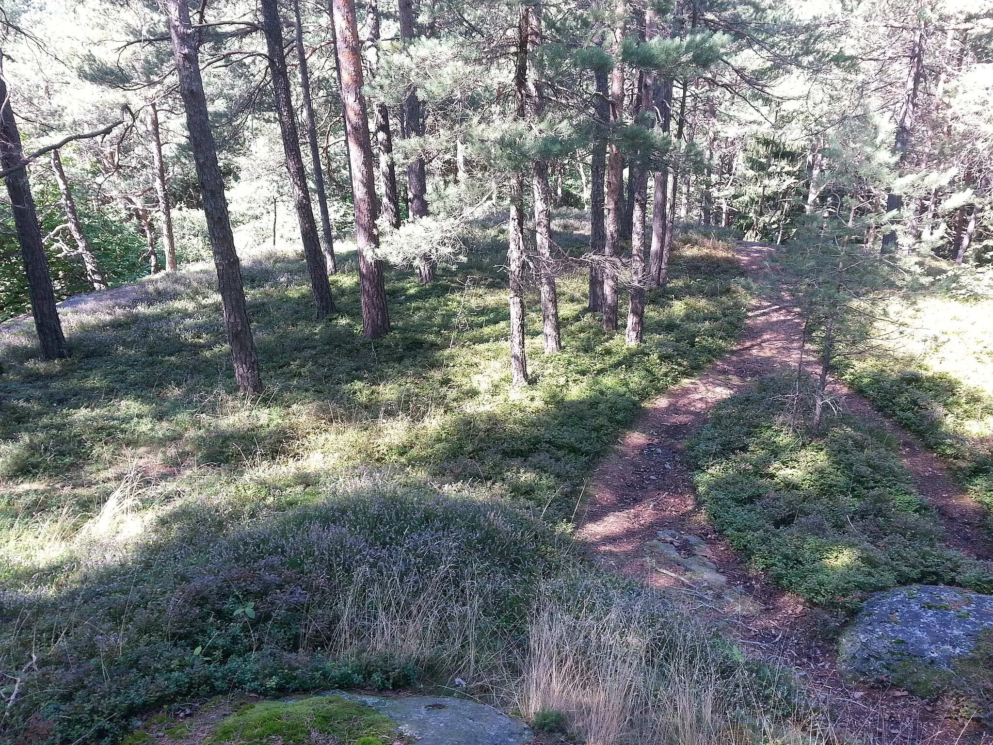 Photo showing: Neolithic settlement on the top of the Wartenstein, Styria