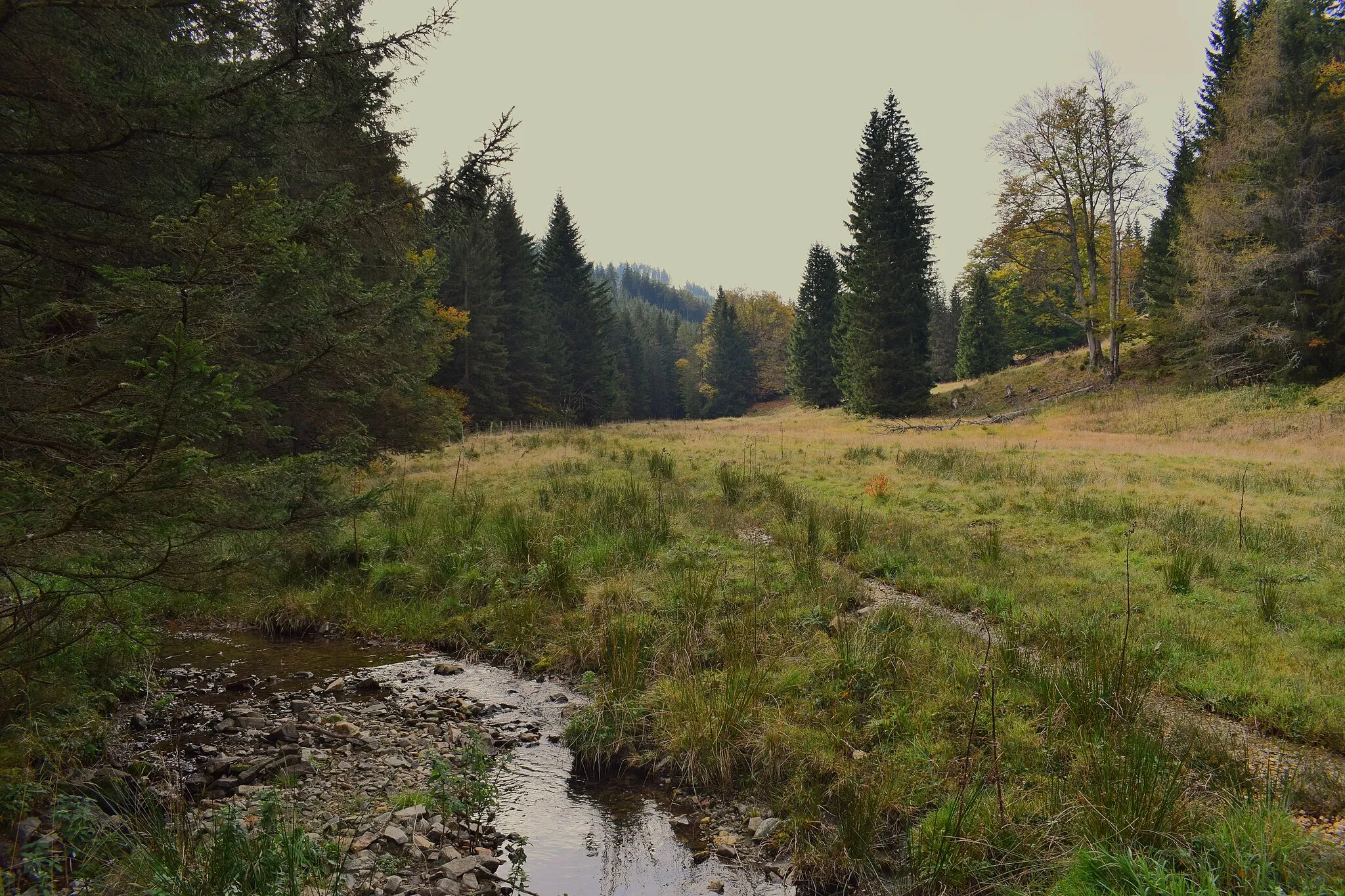 Photo showing: Talgrund am Ende des Groß-Gößgrabens, Blick nach Westen in Richtung Pöllasattel (am Ende des im Hintergrund von links abfallenden Rückens). Gleinalpe, Steiermark