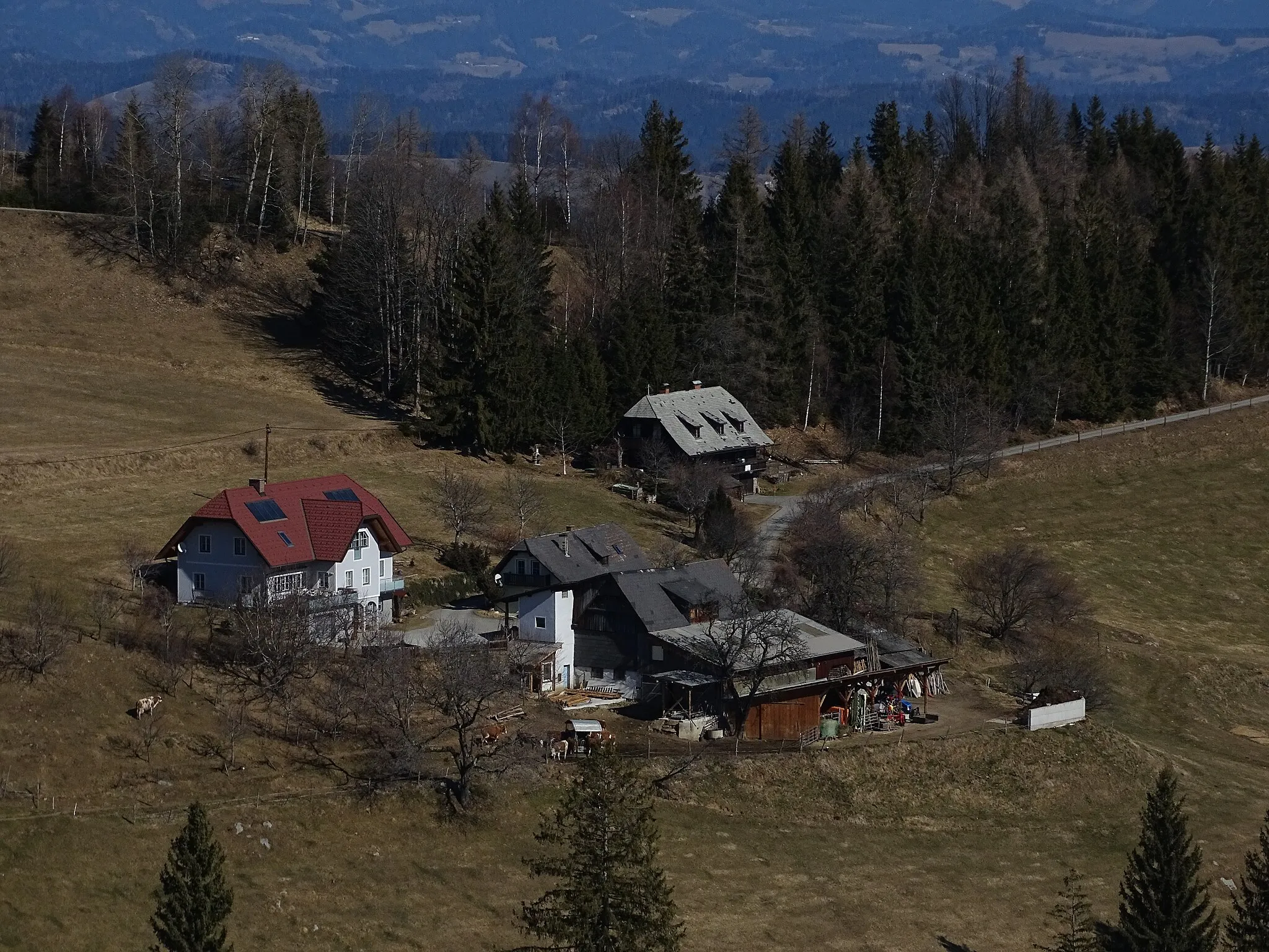 Photo showing: Blick von Sankt Hemma nach Norden auf die beiden Höfe Judbauer (vorne) und Paullipp (hinten) in der Streusiedlung Mittlerer Kreuzberg in Edelschrott.