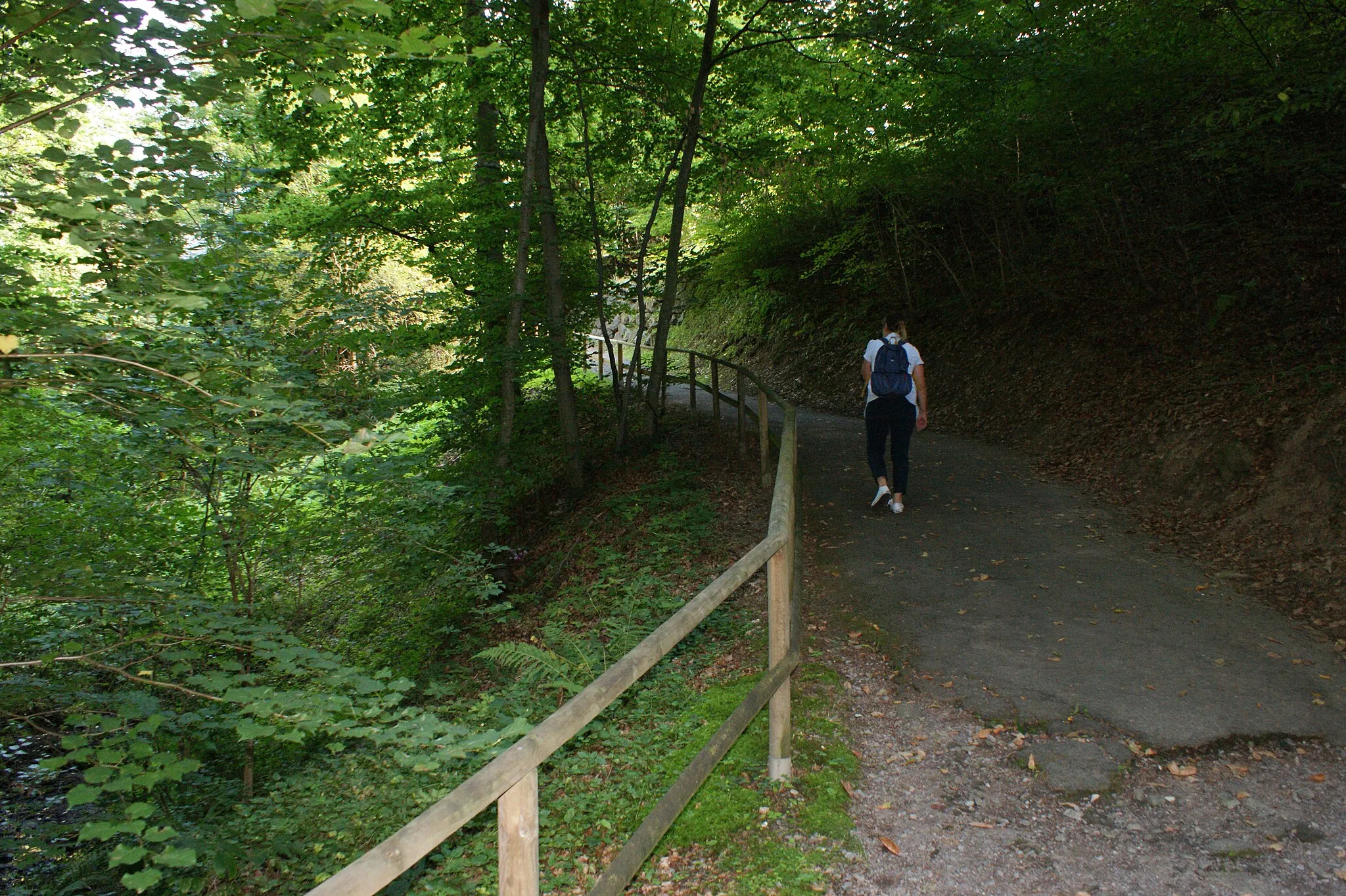 Photo showing: The Gleichenberger gorge (about 500 meters long) is located in the community Bad Gleichenberg in Styria, Austria. Through the gorge flows the Eichgraben.