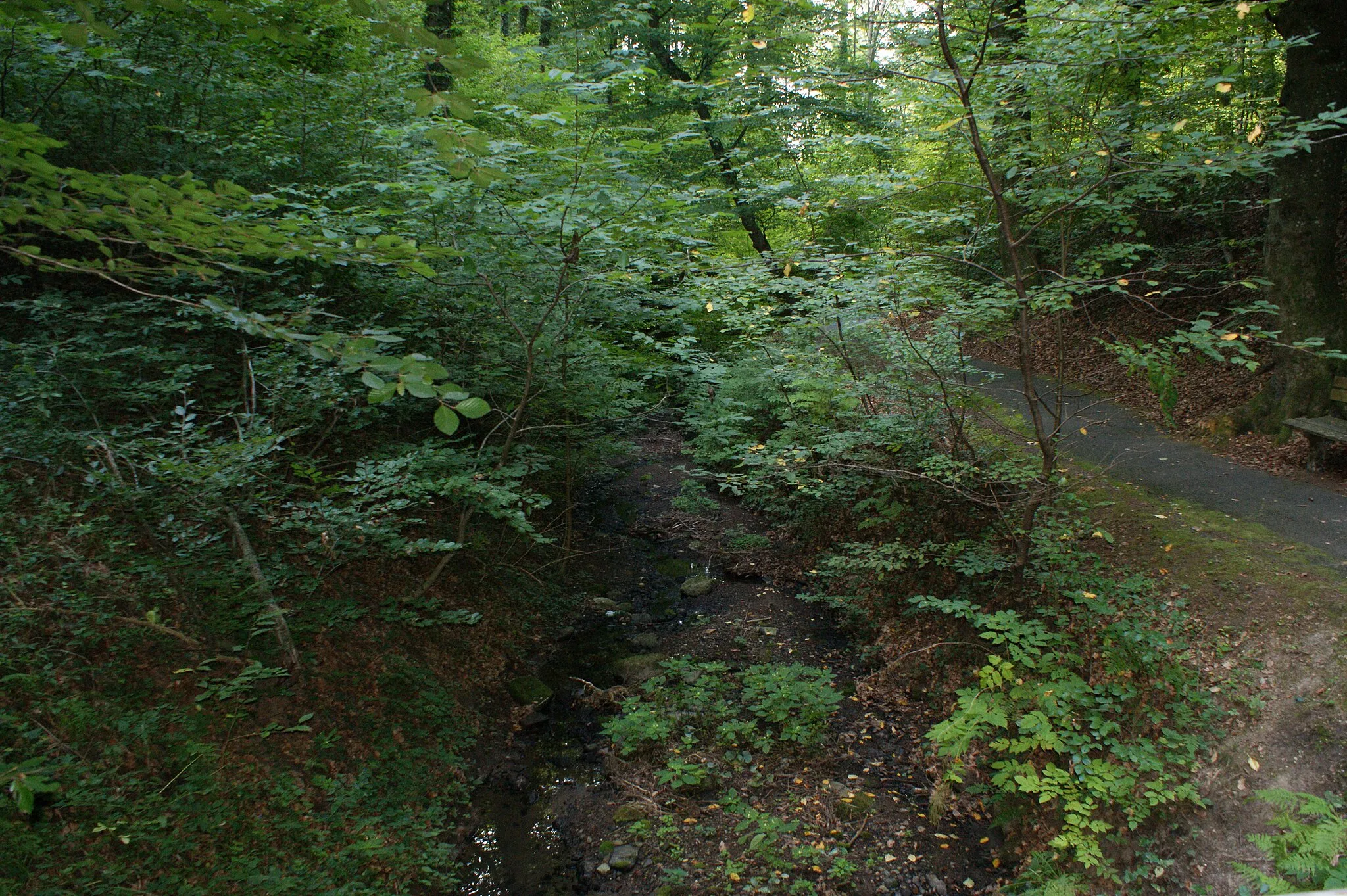 Photo showing: The Gleichenberger gorge (about 500 meters long) is located in the community Bad Gleichenberg in Styria, Austria. Through the gorge flows the Eichgraben.