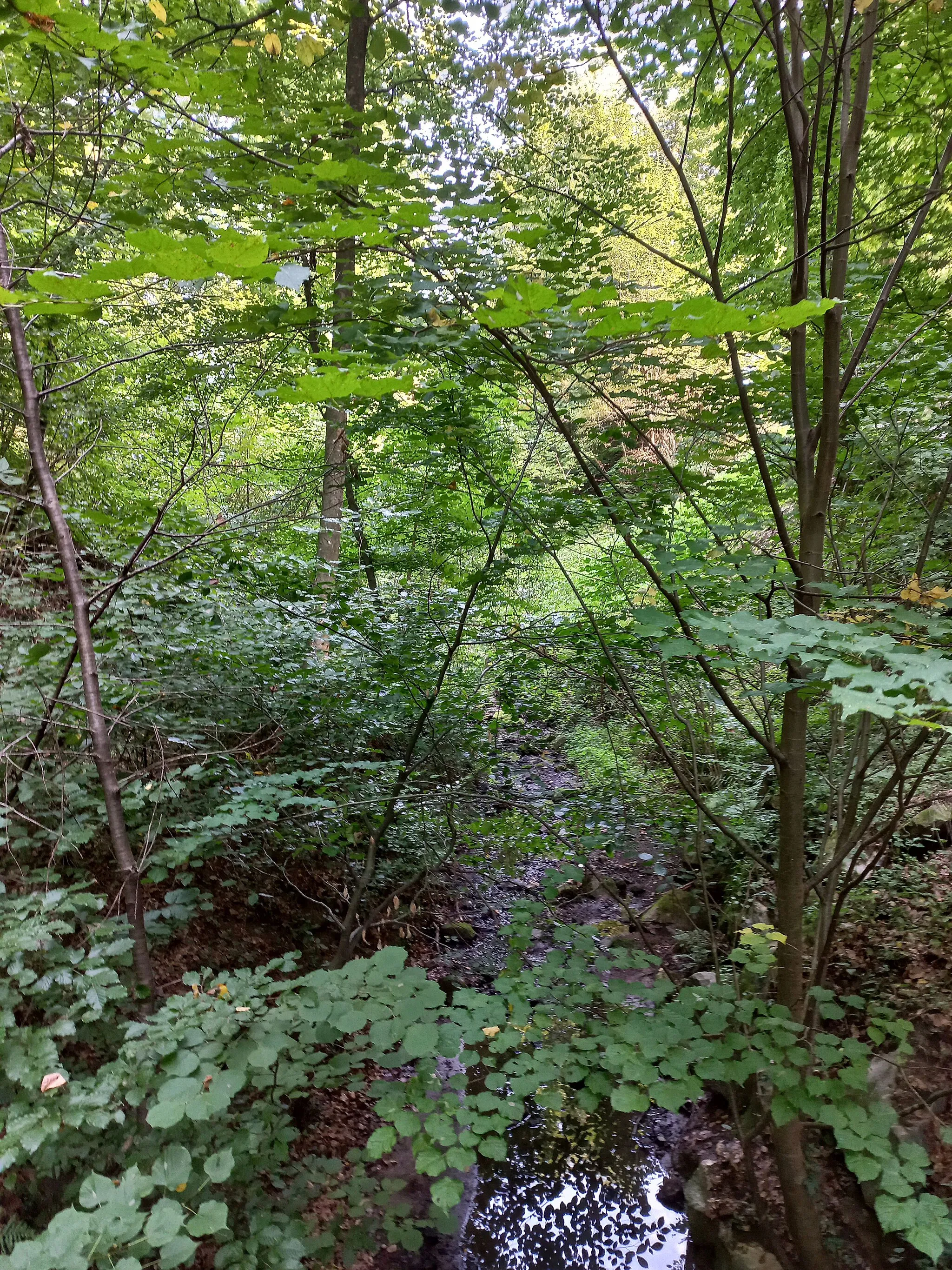 Photo showing: The Gleichenberger gorge (about 500 meters long) is located in the community Bad Gleichenberg in Styria, Austria. Through the gorge flows the Eichgraben.