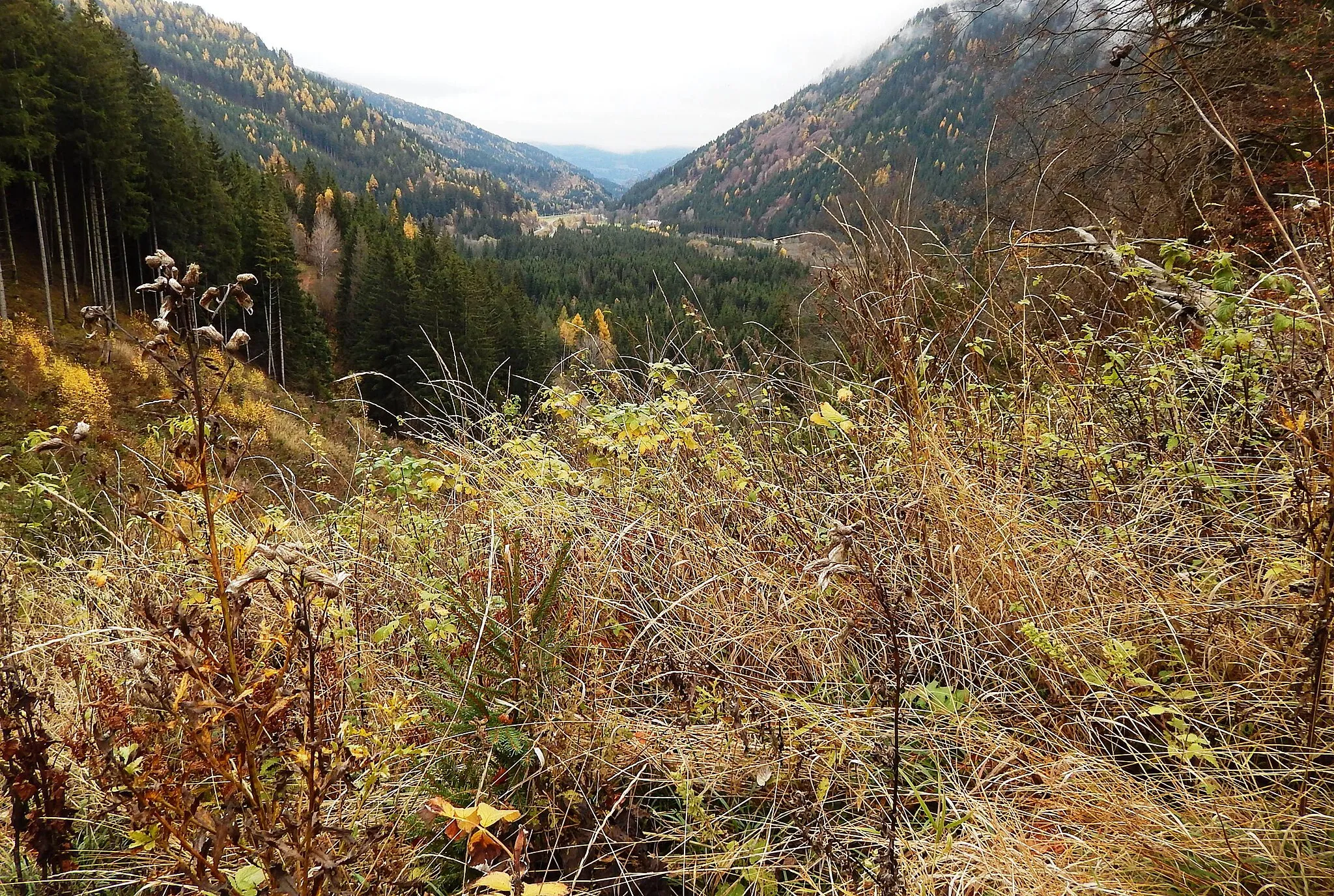 Photo showing: Ruine Neudeck (Neudegg)