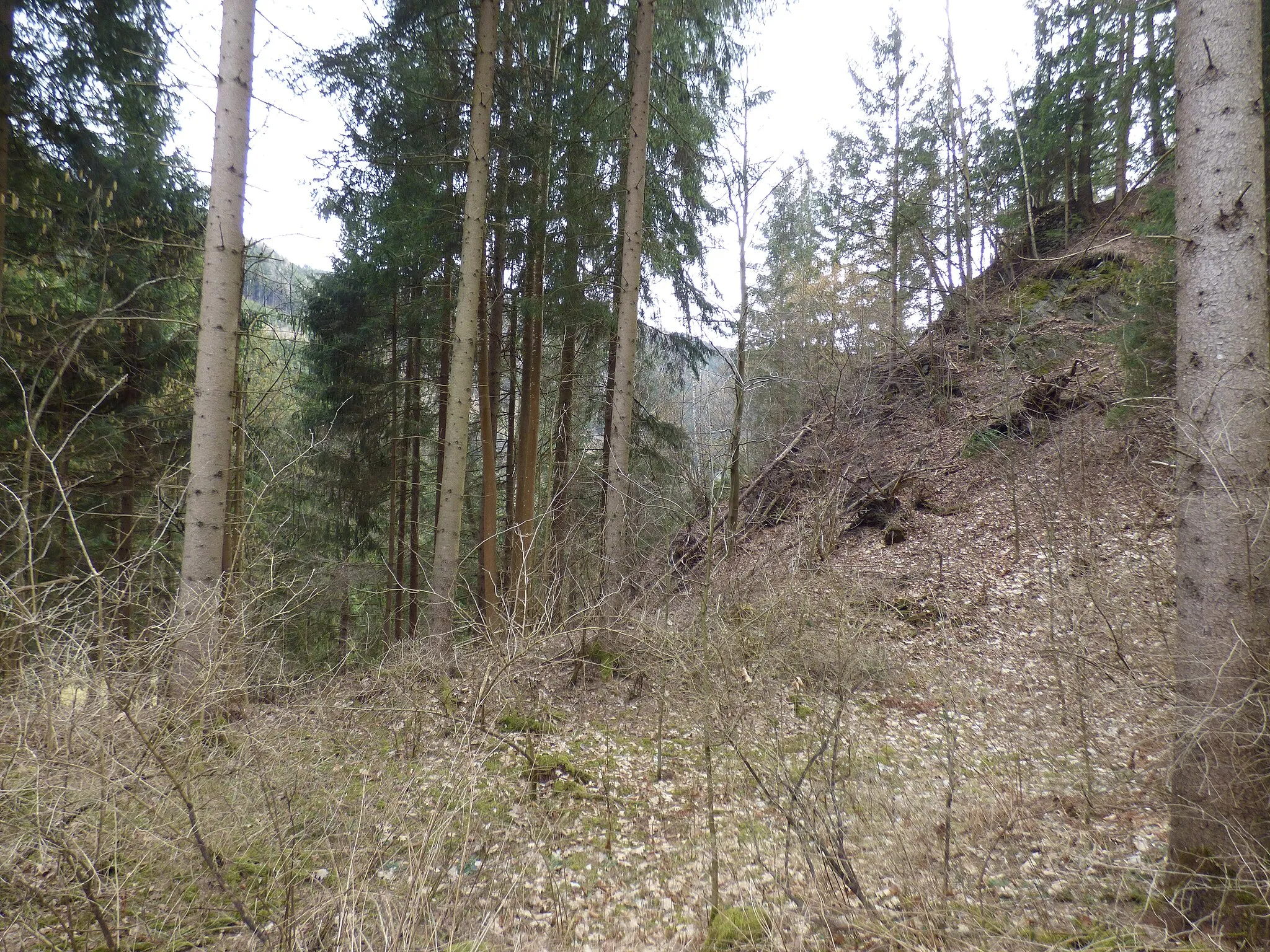 Photo showing: Ruine Neudeck (Untere Burg)
Gemeinde Neumarkt in der Steiermark

Böschung zwischen Burg 1 und 2 (von oben, Westen)