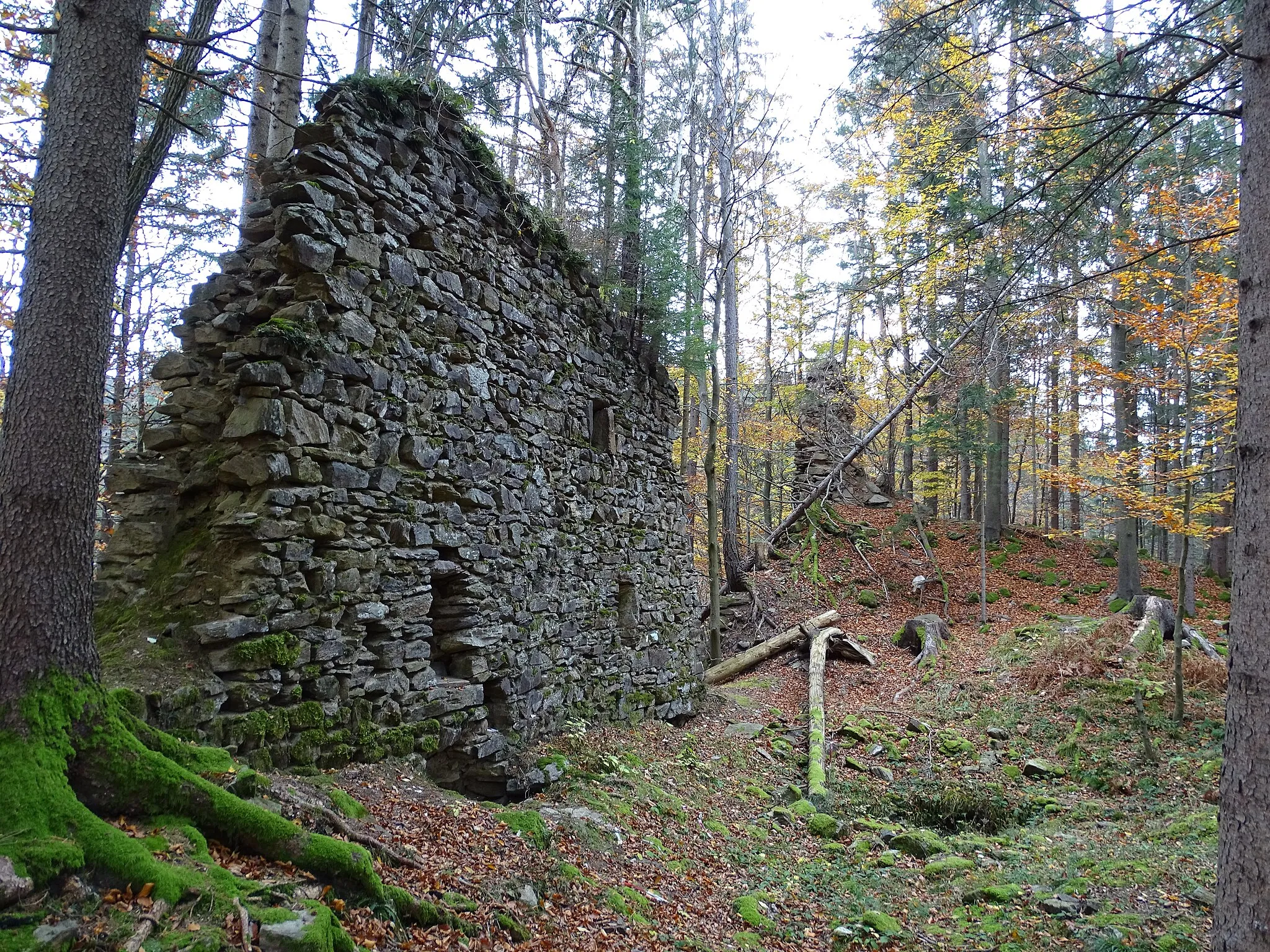 Photo showing: Blick auf die beiden erhalten gebliebenen Teiler der Ringmauer der Burg Alt-Leonroth.