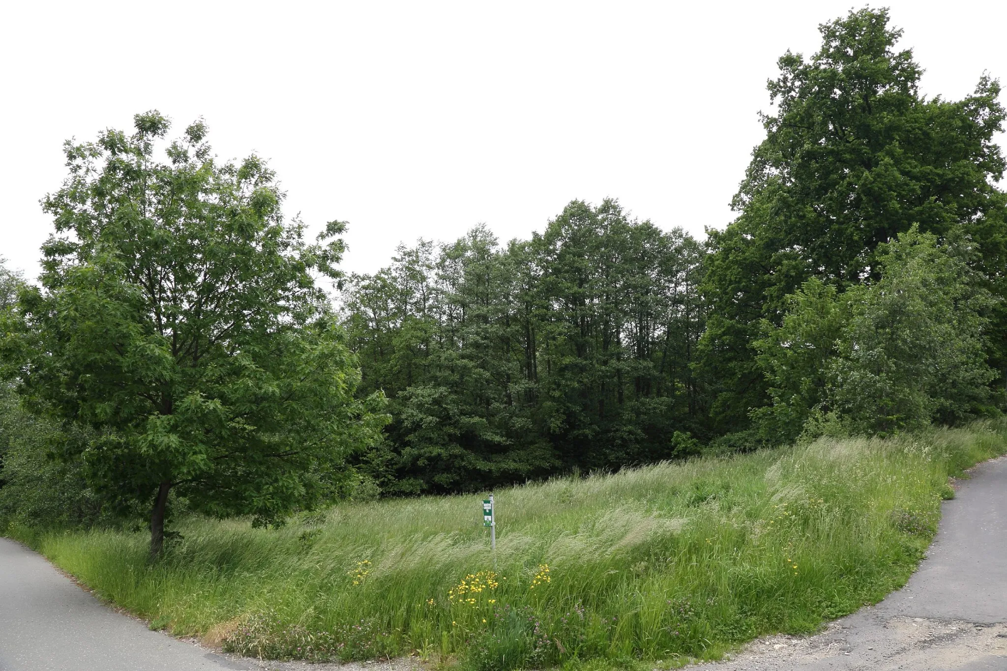 Photo showing: This media shows the Geschützter Landschaftsteil in Styria  with the ID GLT_0184.