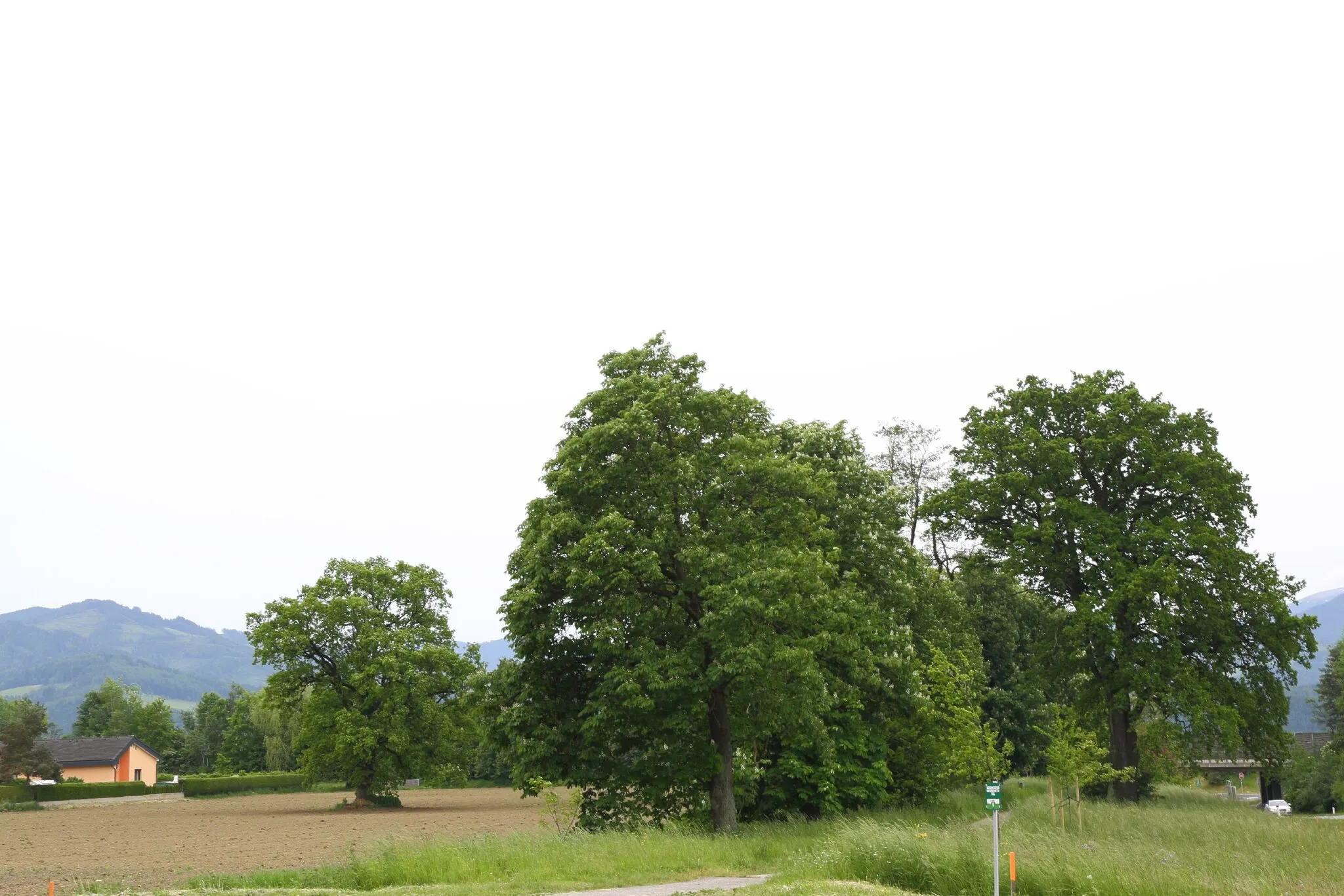 Photo showing: This media shows the Geschützter Landschaftsteil in Styria  with the ID GLT_0184.