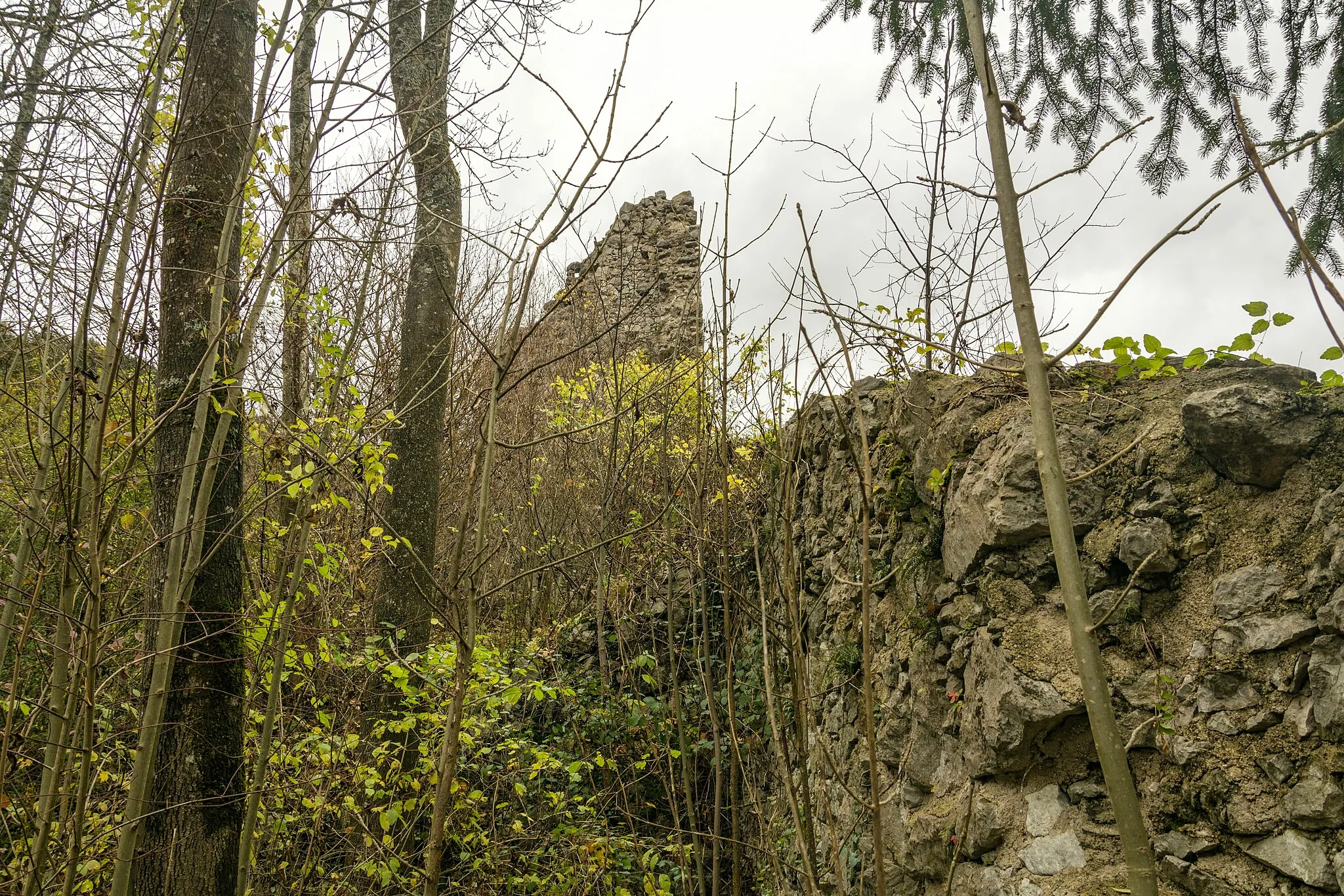 Photo showing: Burgruine Oberstainach