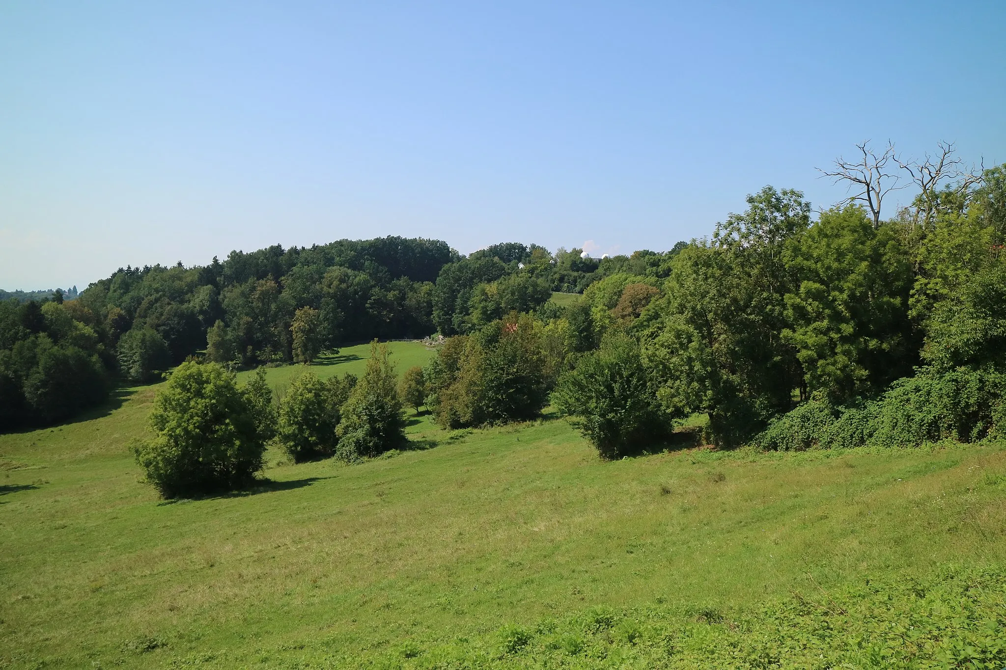 Photo showing: This media shows the nature reserve in Styria  with the ID NSG 62 c.