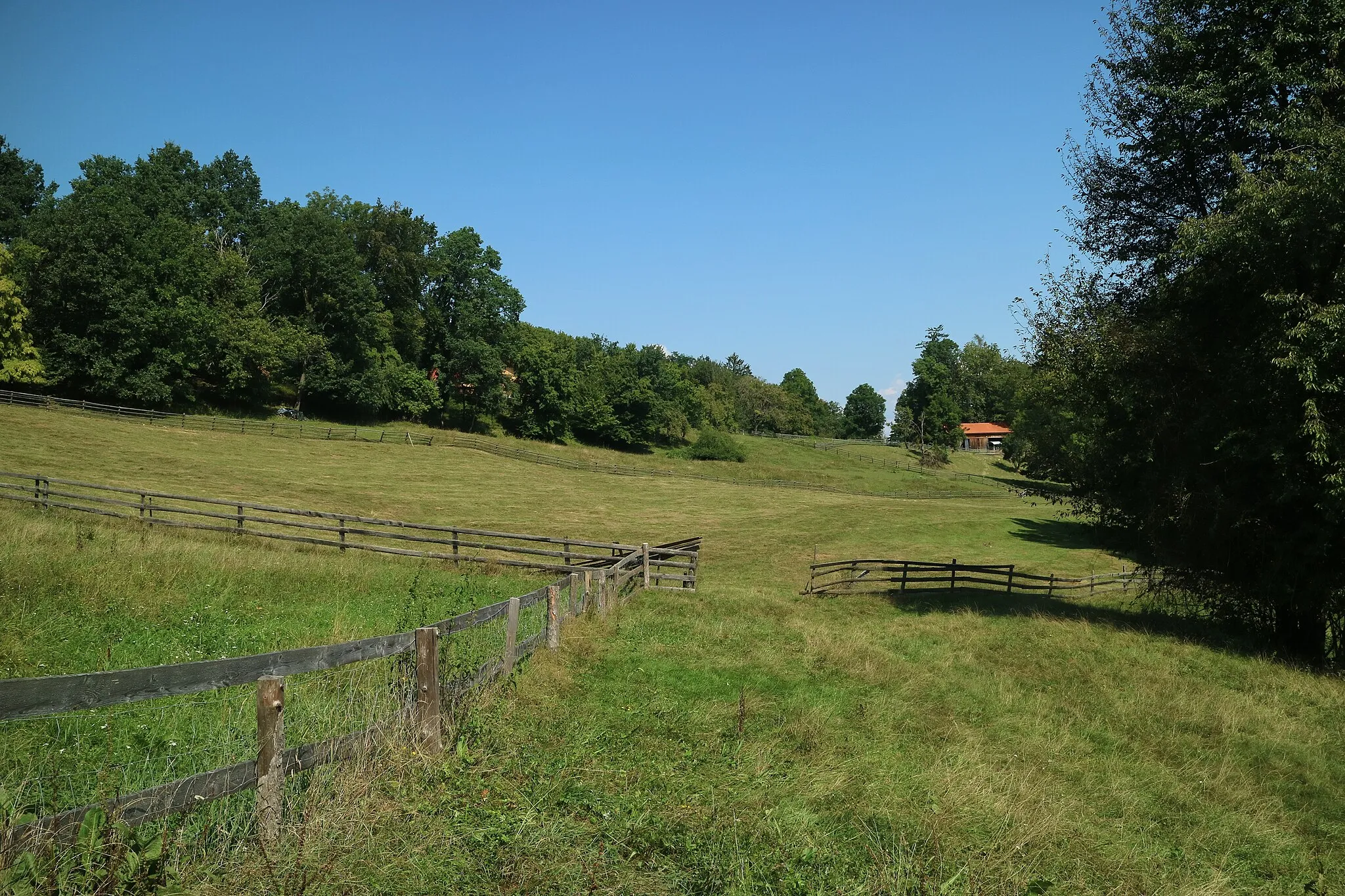 Photo showing: This media shows the nature reserve in Styria  with the ID NSG 62 c.