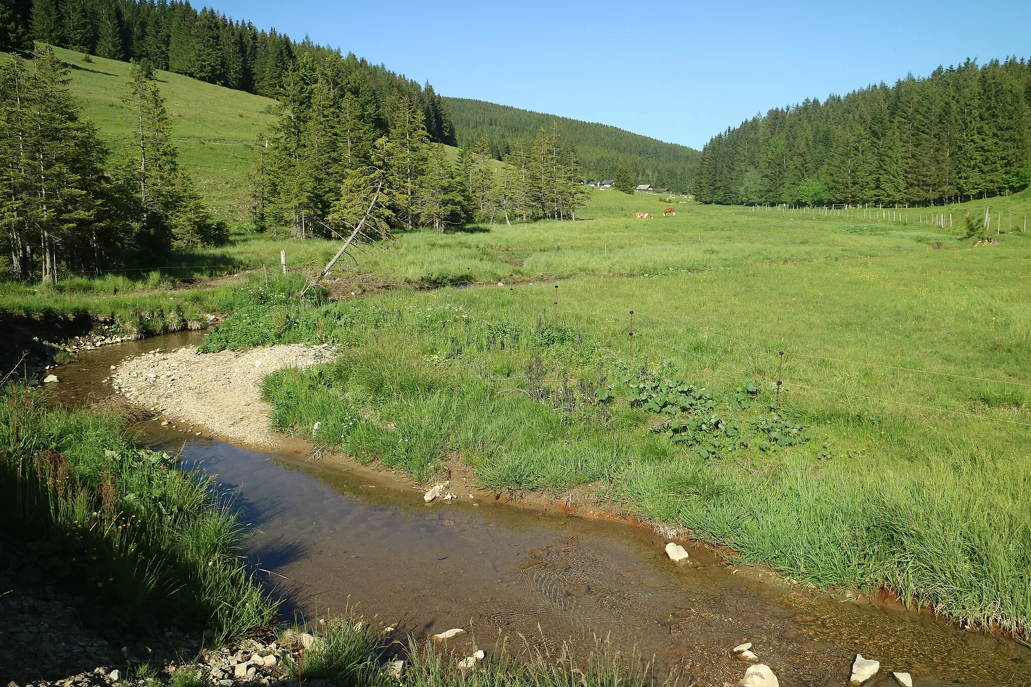 Photo showing: Mixnitzbach zwischen Sommeralm und Teichalm, Grazer Bergland, Steiermark