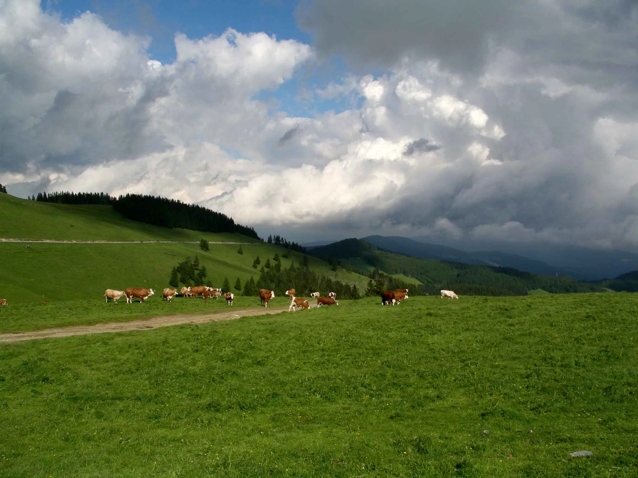 Photo showing: Almenland Sommeralm Teichalm Steiermark