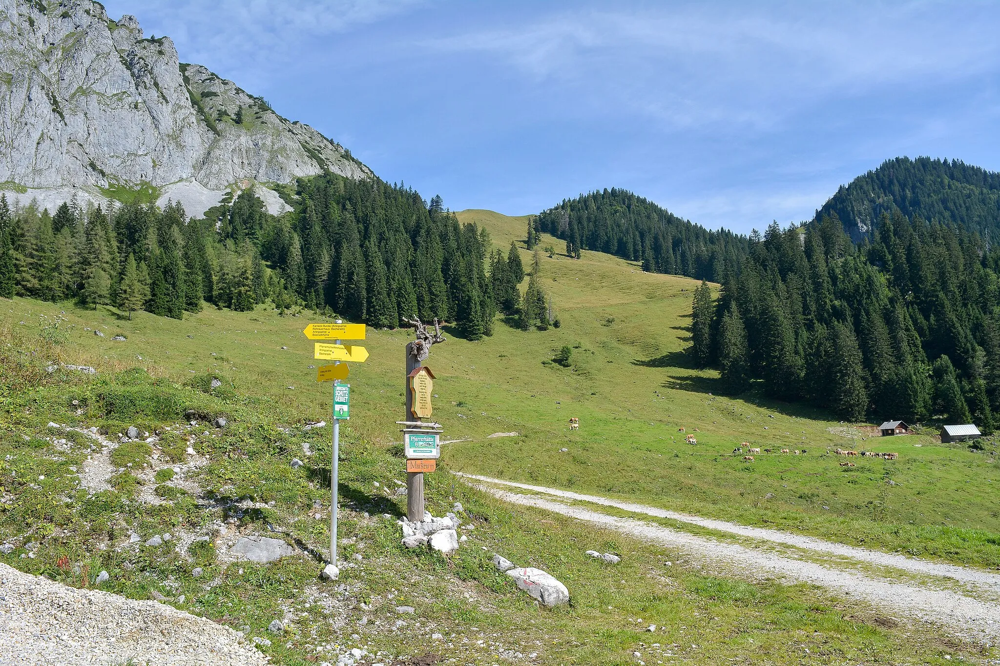 Photo showing: The Ardningalm (mountain pasture of the village Ardning) is located at the south slope of the Bosruck (1992 m) in Styria. From this pasture a footpath leads over the Arlingsattel (1425 m) to Upper Austria. This area is a protected landscape of Styria (LS16- Ennstaler und Eisenerzer Alpen).