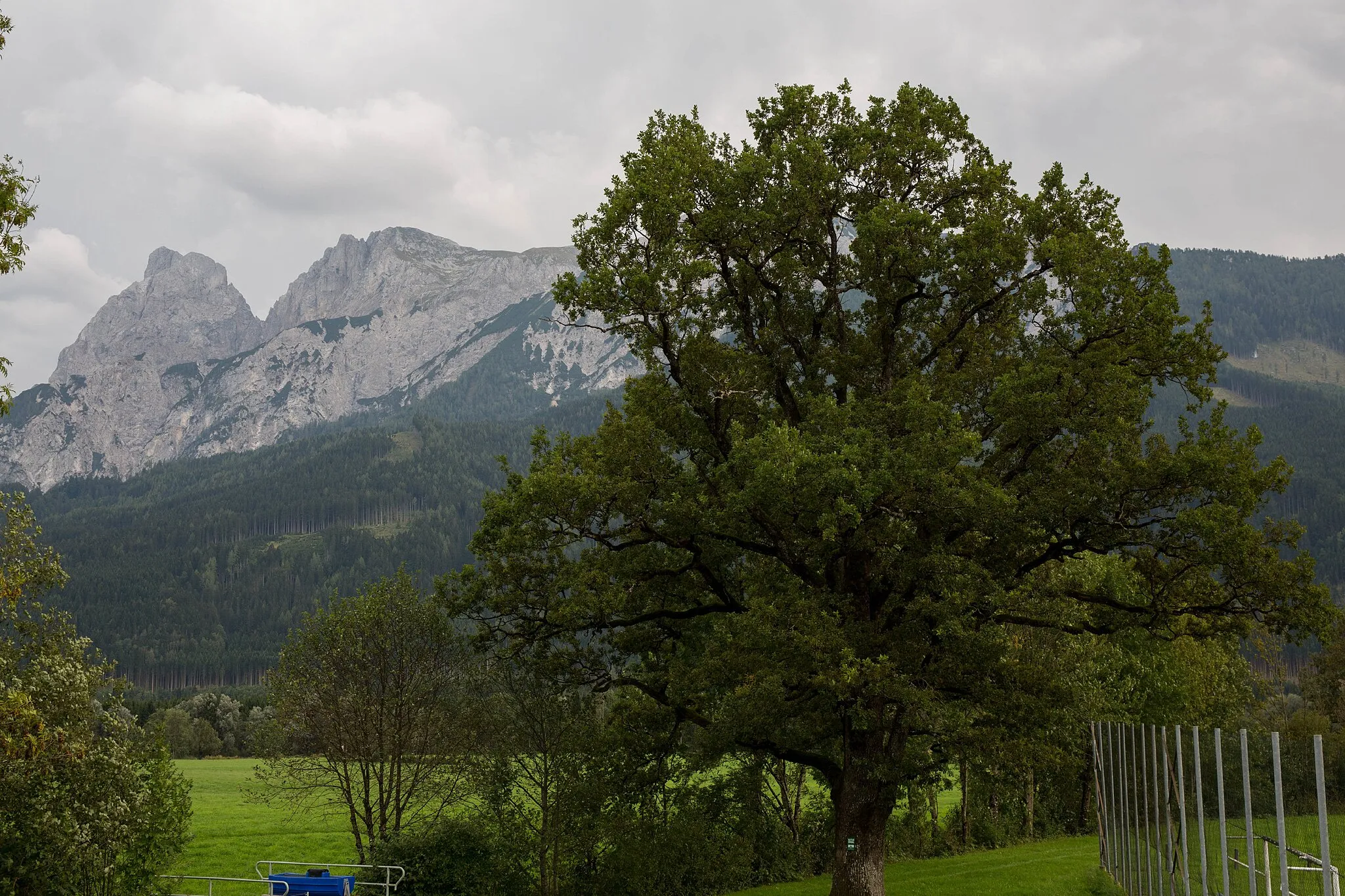 Photo showing: This media shows the natural monument in Styria  with the ID 905.