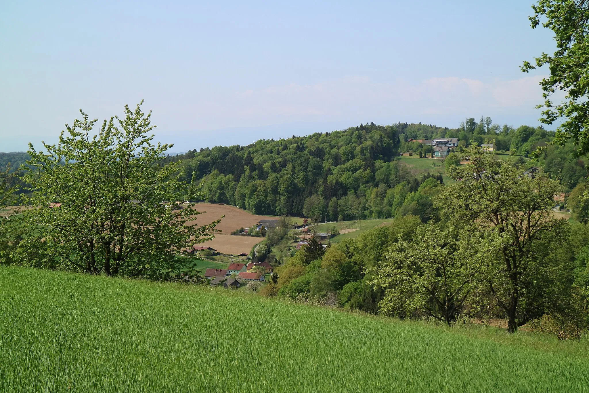 Photo showing: Gnaning von Nordosten (Tropbach), Gemeinde Fernitz-Mellach, Steiermark