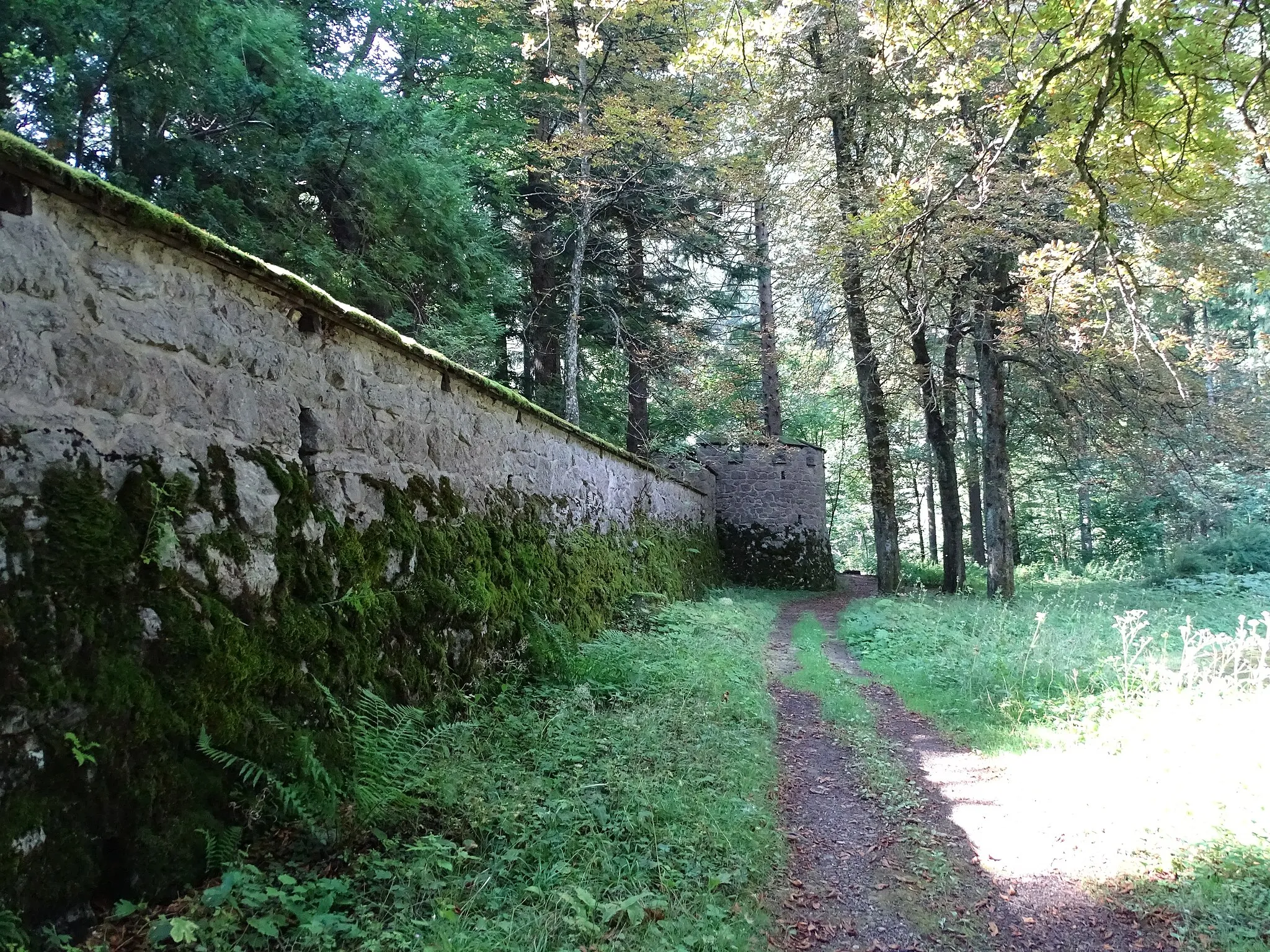 Photo showing: Ein Teil der Umfassungsmauer des Schlosses Leopoldstein