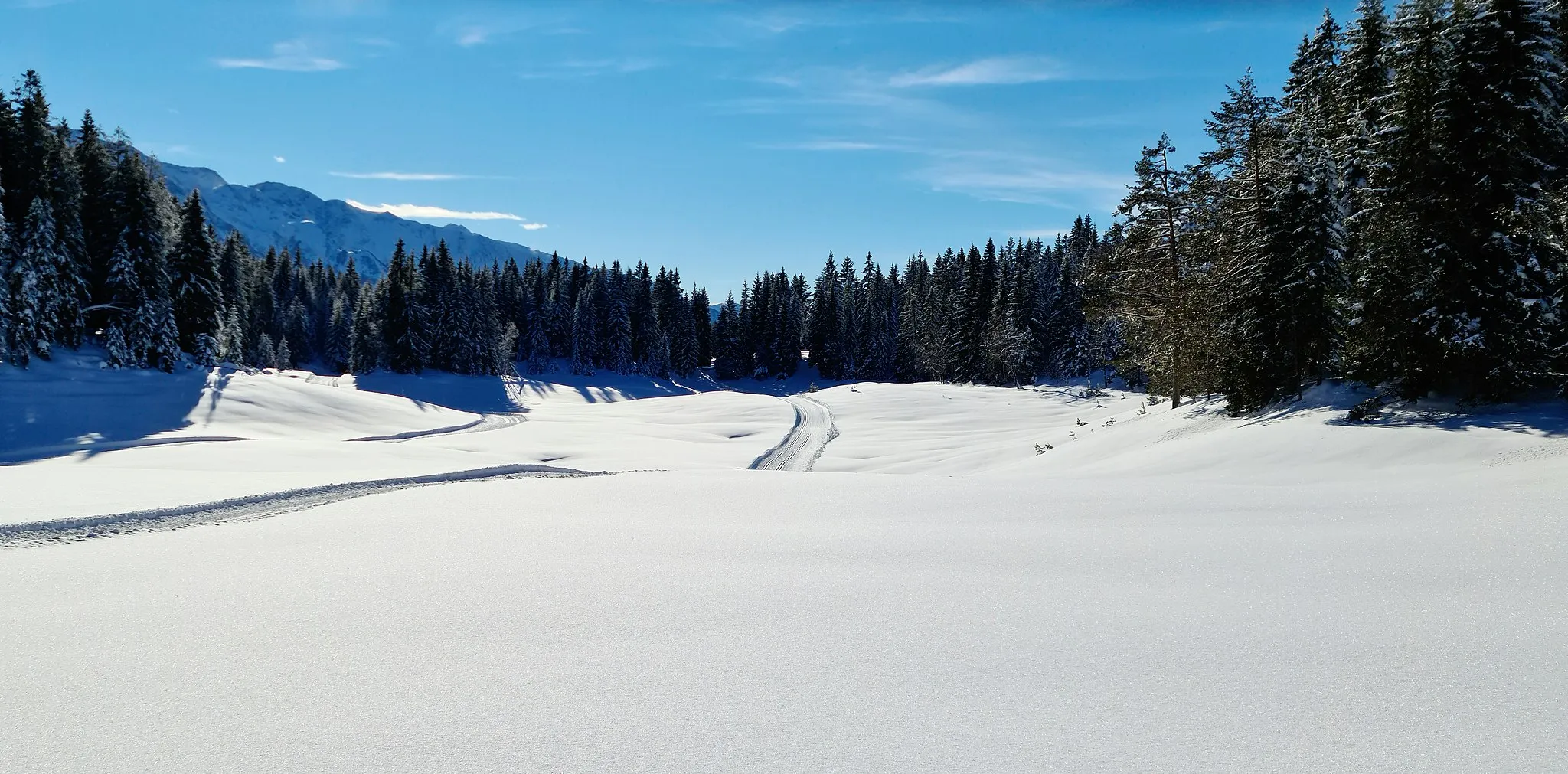 Photo showing: Telfs, Seefelder Plateau, Wildmoossee