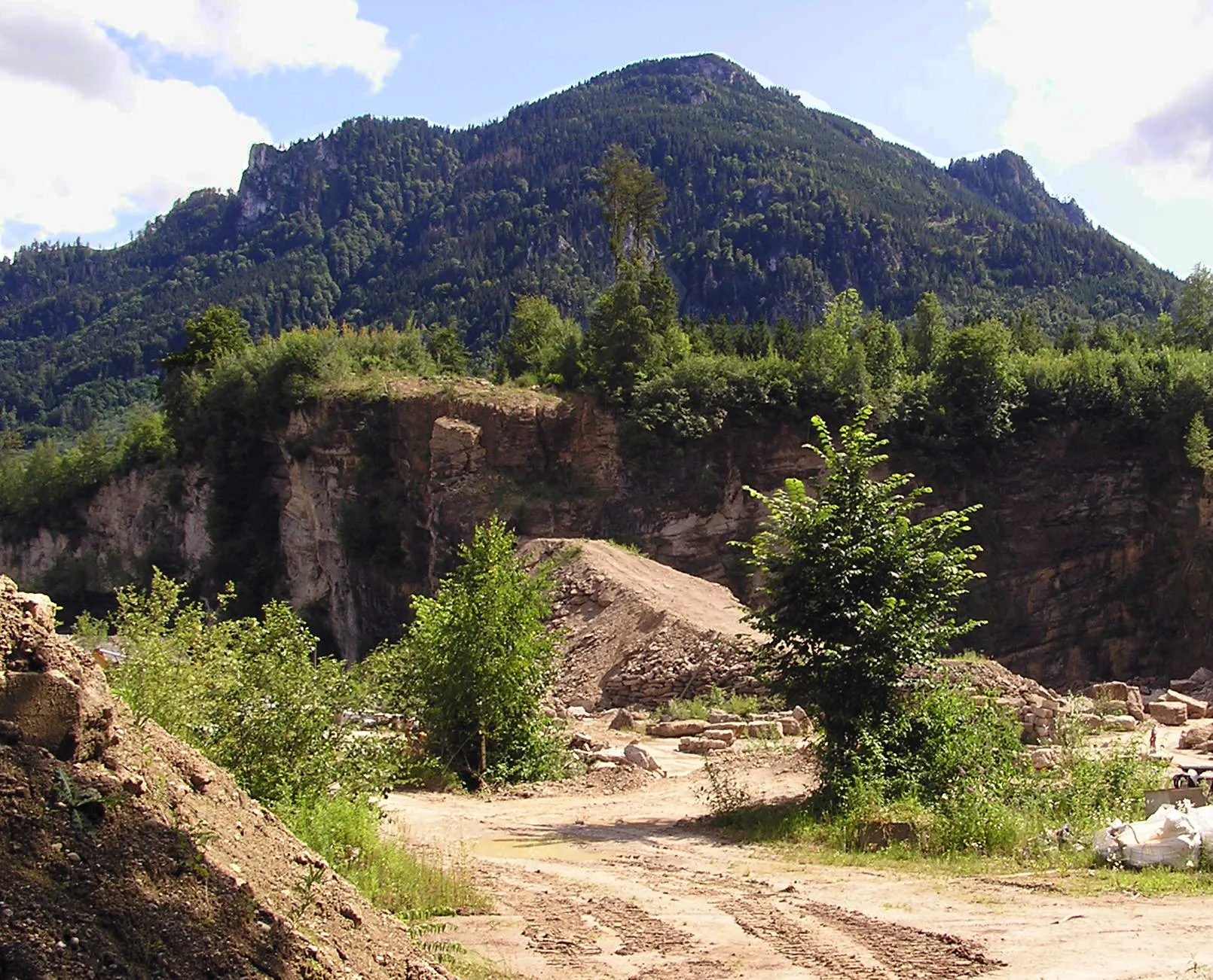 Photo showing: Nagelfluhabbau an der Biber in Brannenburg (OBB)