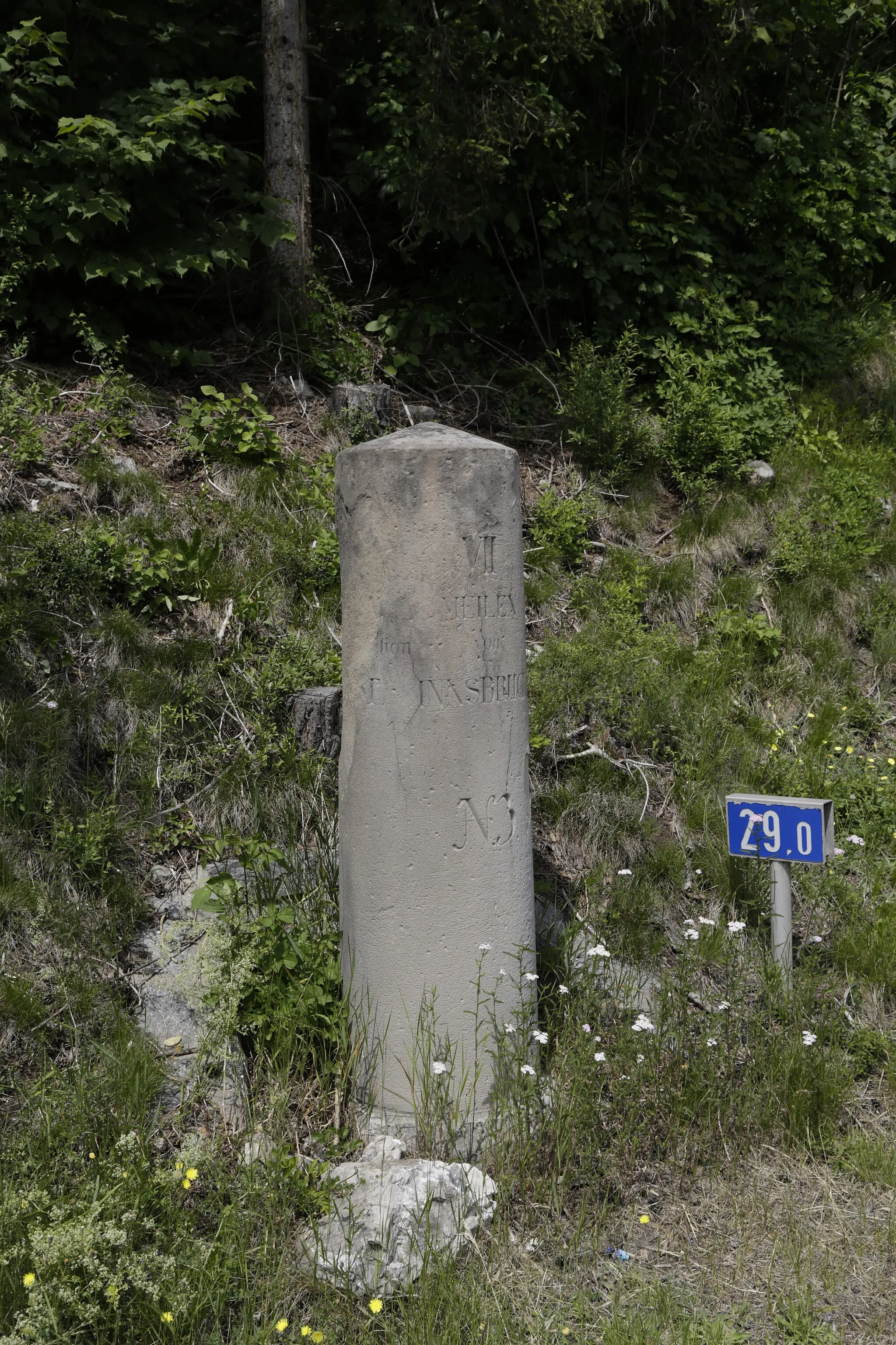 Photo showing: An der Mieminger Straße die Tarrenz mit Nassereith verbindet befindet sich auf Höhe Dollinger ein Meilenstein. Dieser ist denkmalgeschützt.