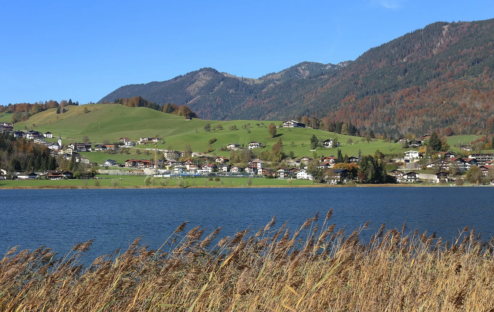 Photo showing: This media shows the natural monument in the Tyrol with the ID ND_5_6 (Thiersee).