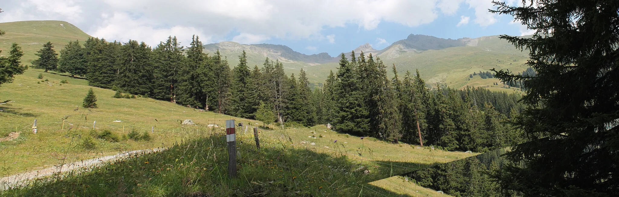 Photo showing: Alpages et montée vers le Fuorclaz Salet au-dessus de Tschlin