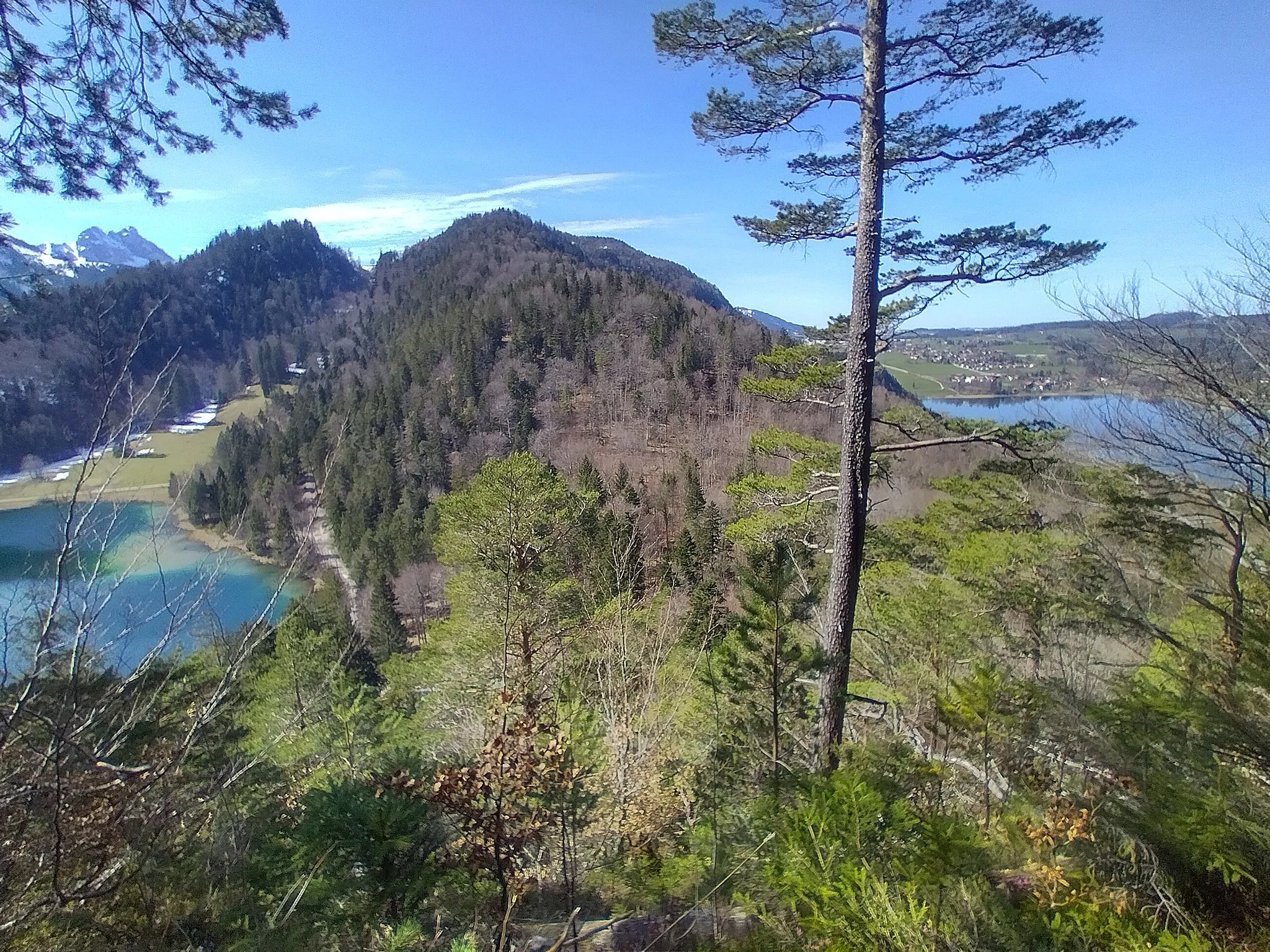 Photo showing: Aussichtspunkt "Zweiseenblick" am Hahnenkopfweg bei Füssen. Links der Alatsee, rechts der Weißensee.