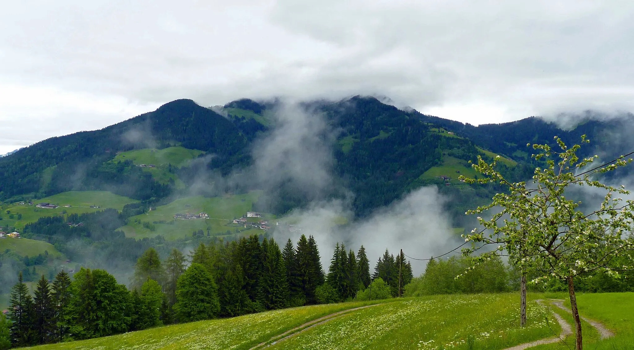 Photo showing: Roßkopf von Thierbach aus aufgenommen (im Juni 2010)