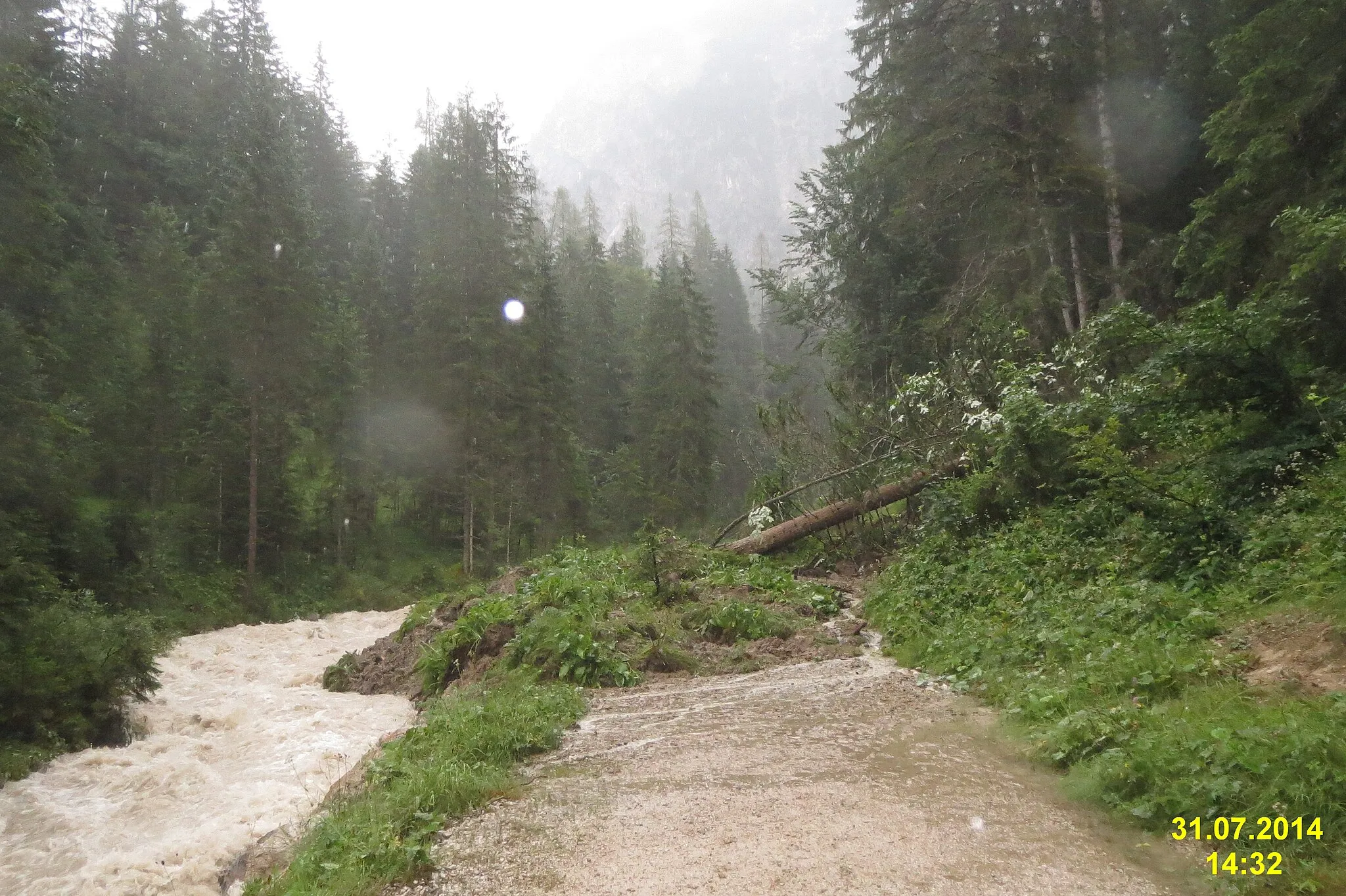 Photo showing: This had happened shortly before we reached the spot; the whole scenic circuit was duly closed until further notice.