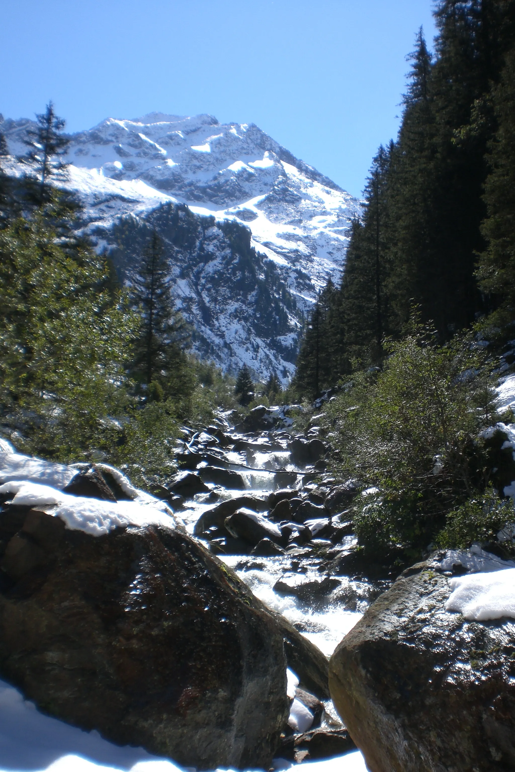 Photo showing: Auf dem Weg zur B'suchalm im Langental der Stubaier Alpen.
